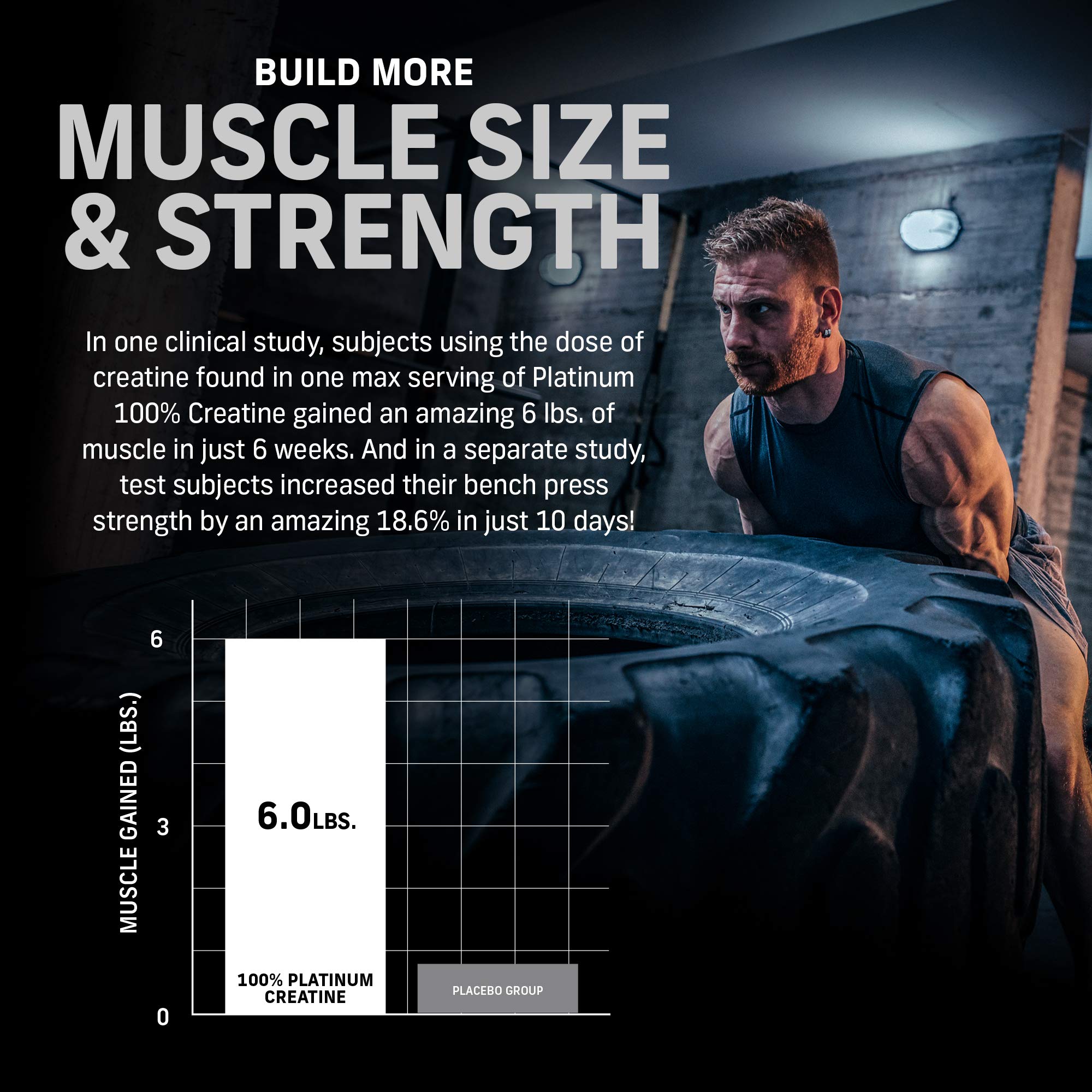 Muscletech Whey Protein Powder Phase8 Protein Powder & nohydrate Powder Platinum Muscletech uk supplements
