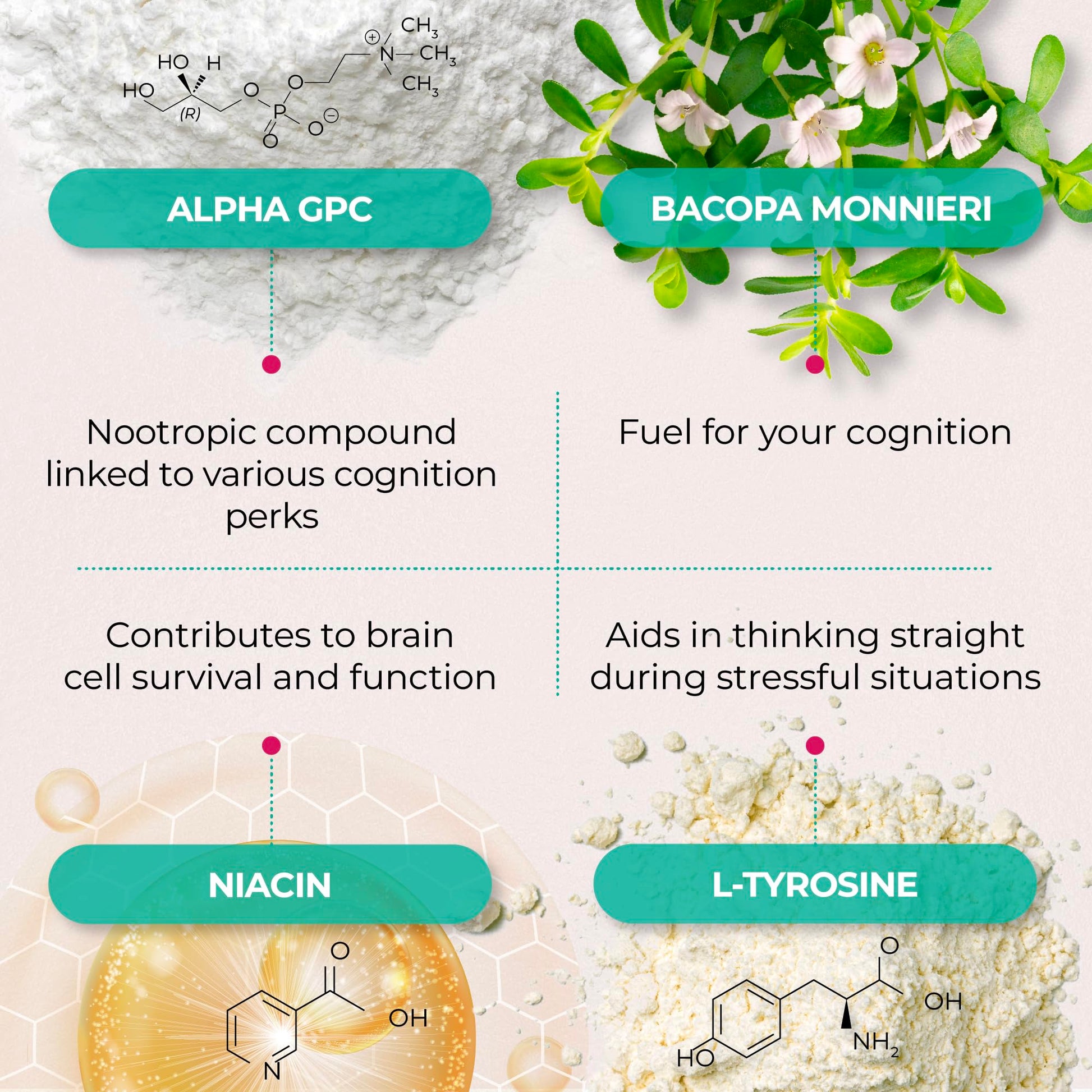 PUREHEALTH RESEARCH Ageless Brain Supplements for Memory and Focus - Nootropic Brain Health Supplement for Adults - with Bacopa Monieri, Alpha GPC, L-Tyrosine, Vitamin B6, Niacin & More, 60 Capsules PUREHEALTH RESEARCH uk supplements