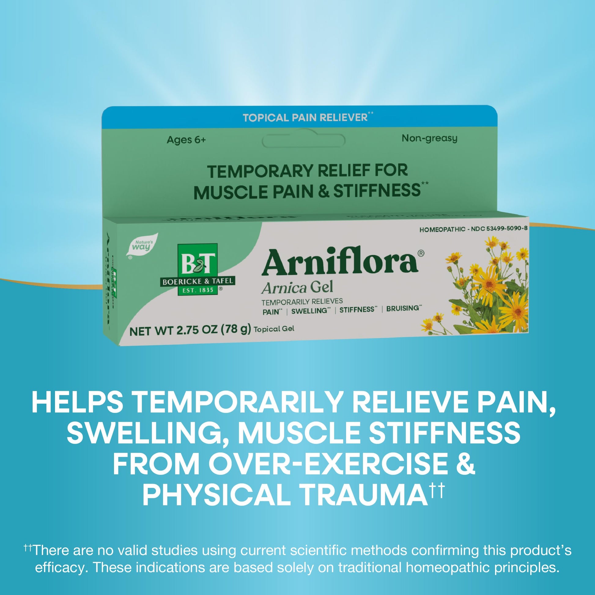 Nature's Way Boericke & Tafel Arniflora Arnica Gel, Temporarily Relieves Pain*, Swelling*, Stiffness*, 2.75 Oz (Packaging May Vary) Nature's Way uk supplements