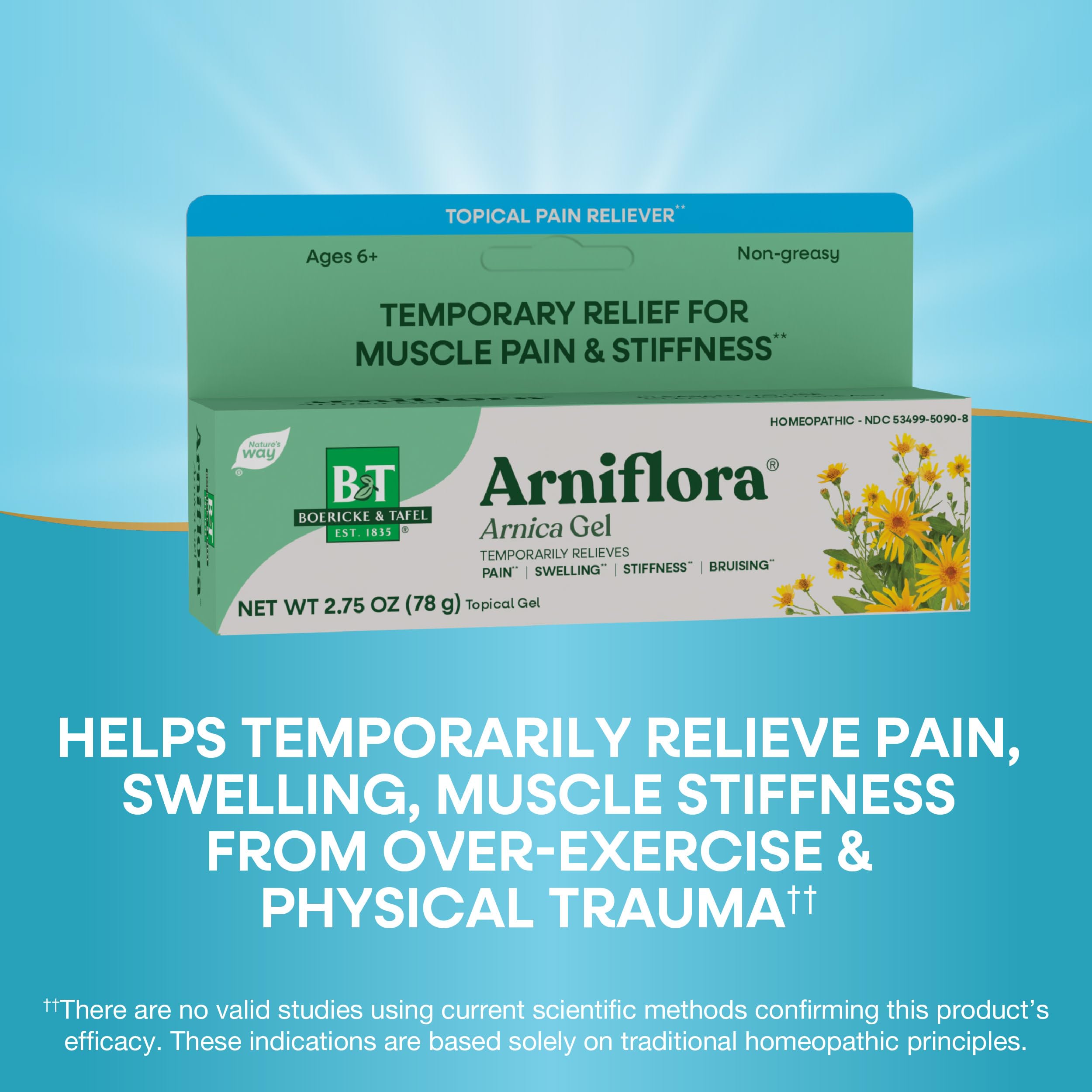 Nature's Way Boericke & Tafel Arniflora Arnica Gel, Temporarily Relieves Pain*, Swelling*, Stiffness*, 2.75 Oz (Packaging May Vary) Nature's Way uk supplements