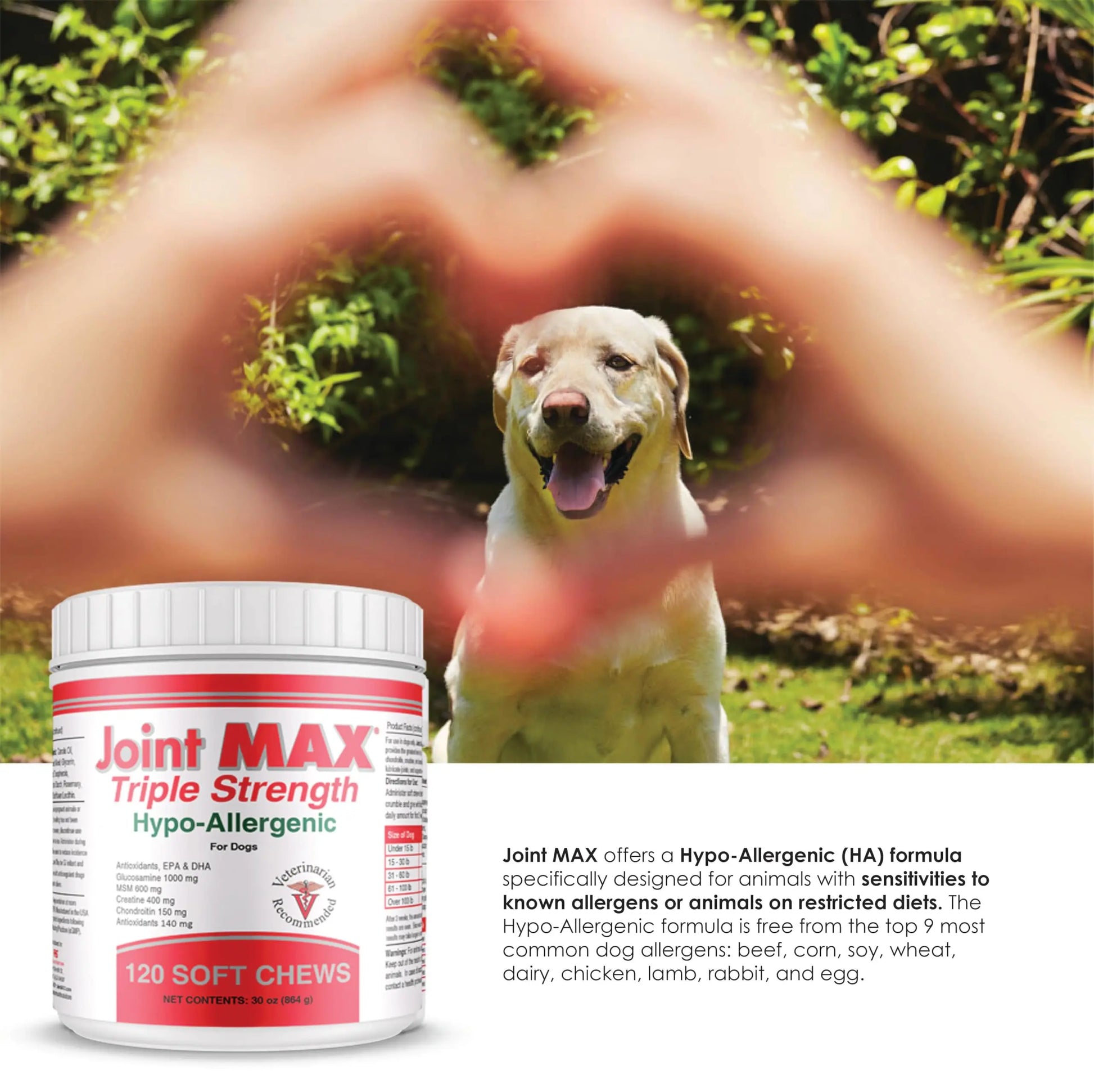 Joint MAX Triple Strength Hypo-Allergenic Soft Chews for Dogs - Hip and Joint Support Supplement with Glucosamine, Chondroitin, & MSM - Made in The USA - 120 Soft Chews Joint Max uk supplements