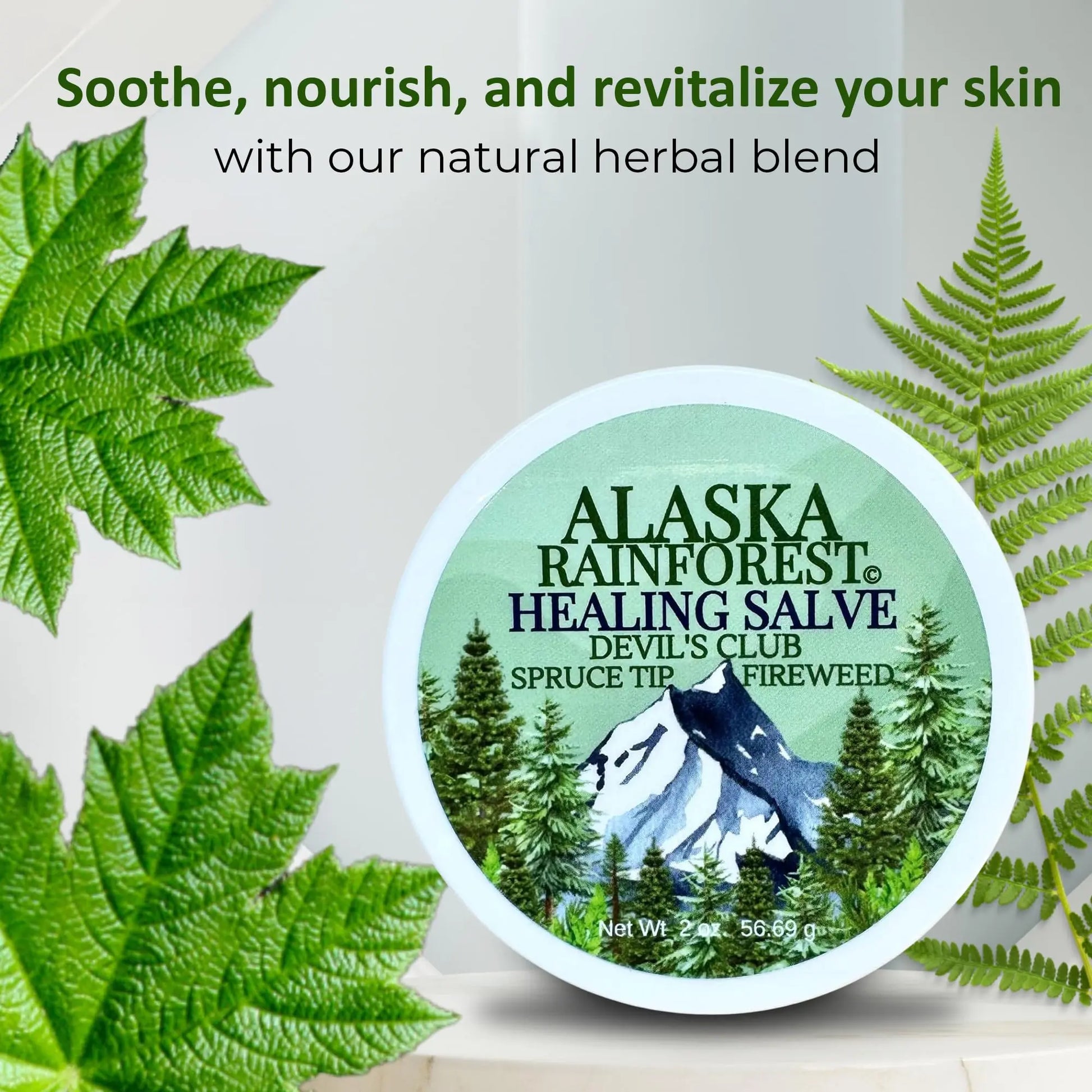 Snowy Summit Alaska Rainforest Salve - Herbal Salve for Dry Skin & Joint Relief - Natural Super Salve for Soothing Skin with Gentle Aroma - Body & Hand Salve - Muscle Rub with Alaskan Devil’s Club Oil Snowy Summit uk supplements