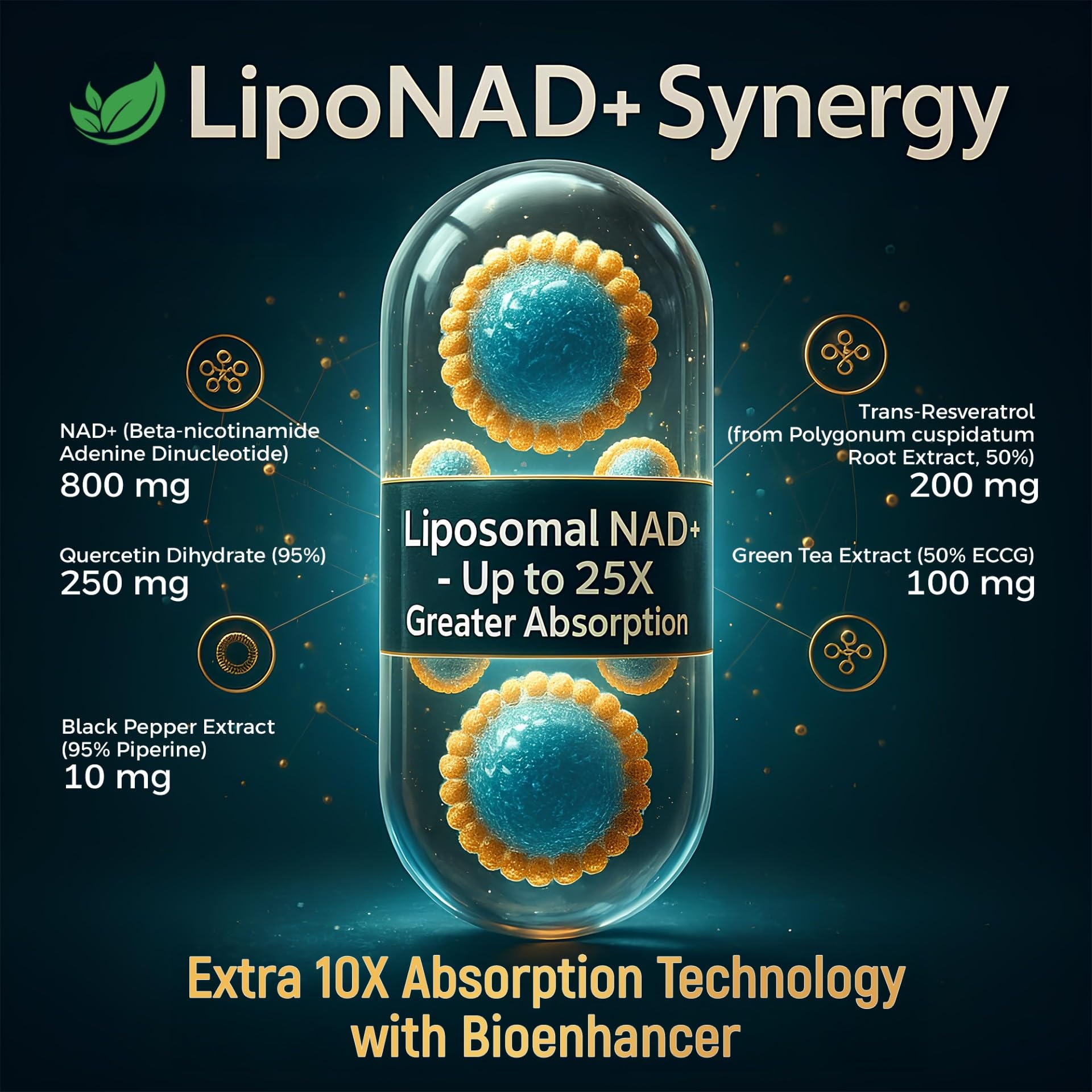 NAD+ Supplement, 1,360mg Max Strength Liposomal | Resveratrol, Quercetin, Green Tea | Cellular Energy & Healthy Aging for Men & Women | 800mg of 100% High Purity NAD+ for Energy, Focus - 90 Capsules Holistnature uk supplements