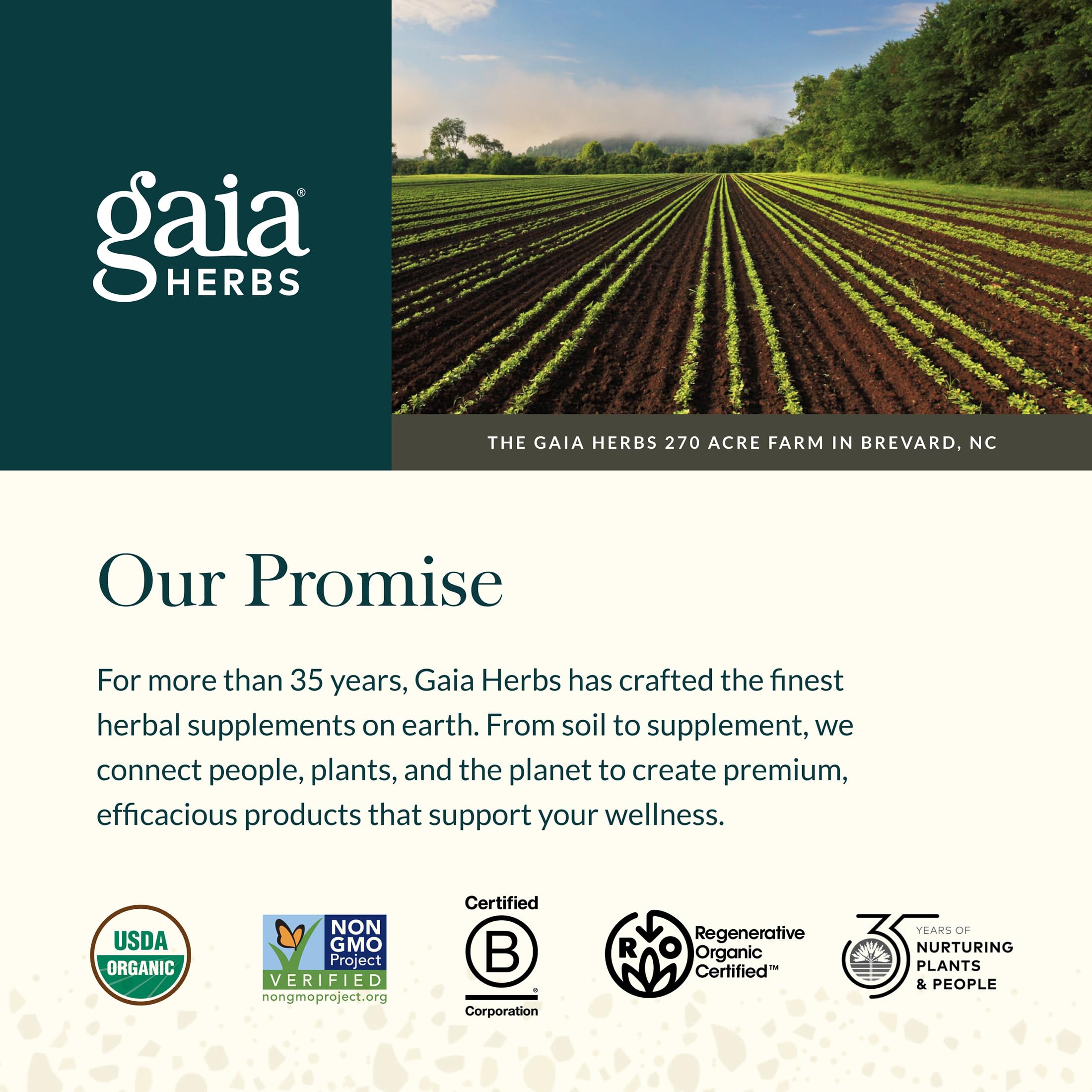 Gaia Herbs Sauerkraut Postbiotic - Gut Health & Immune Support Supplement* - Made with Fermented Sauerkraut - Free from Dairy, Soy & Gluten - 60 Vegan Liquid Phyto-Caps (30 Servings) Gaia Herbs uk supplements