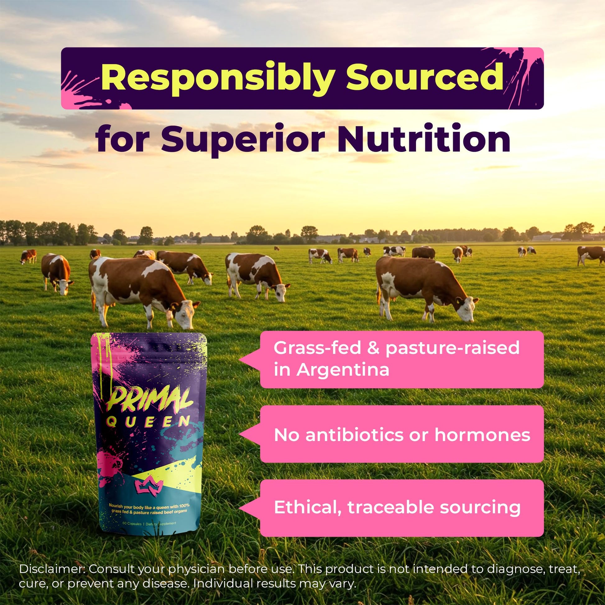 Primal Queen Female-Optimized Beef Organ Superfood Supplement (Beef Liver, Kidney, Heart, & 3 More) - 100% Grass Fed, Pasture Raised - 3rd Party & Clinically Tested Primal Queen uk supplements
