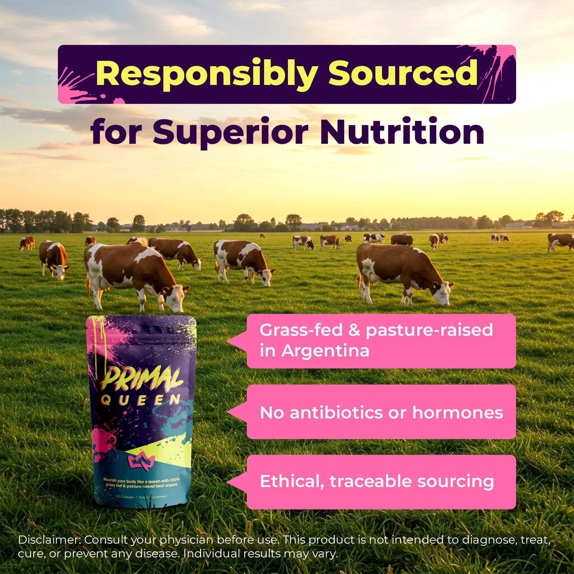 Primal Queen Female-Optimized Beef Organ Superfood Supplement (Beef Liver, Kidney, Heart, & 3 More) - 100% Grass Fed, Pasture Raised - 3rd Party & Clinically Tested Primal Queen uk supplements