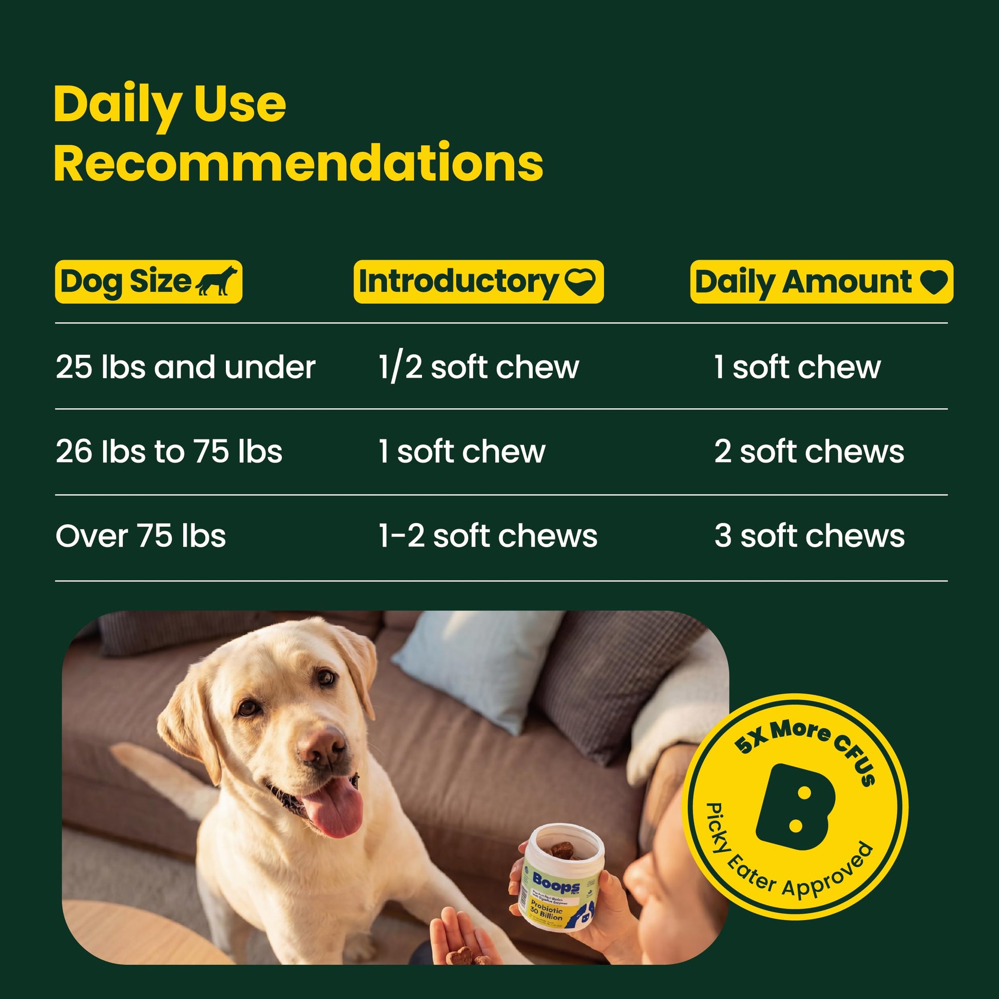 Boops Pets Probiotics for Dogs – 30 Billion CFU with Pre, Postbiotics & Digestive Enzymes – Supports Gut Health, Immunity, Loose Stools & Allergies – Filet Mignon Flavor – Vet Formulated – 60 Chews Boops Pets uk supplements