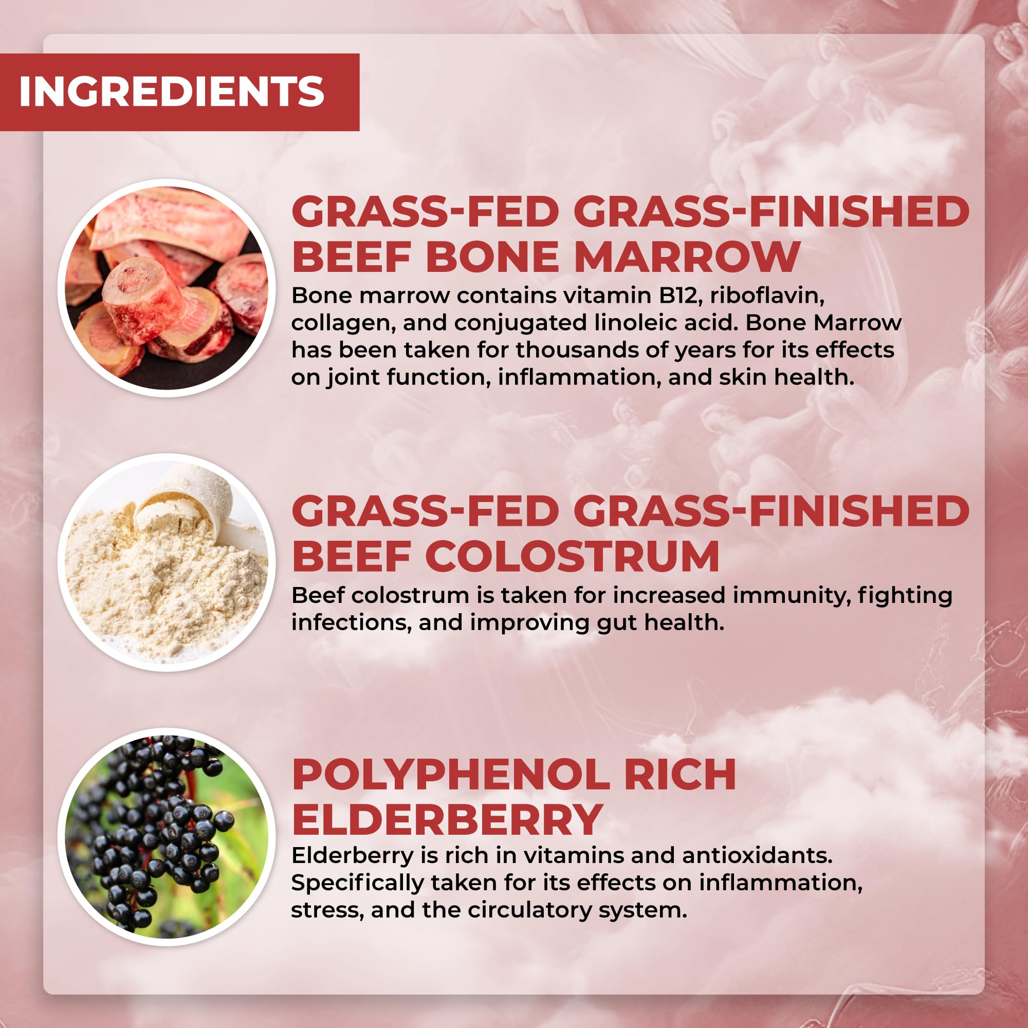 Santa Cruz Paleo, Food of the Gods Grass Fed Beef Organ Supplement for Men and Women, with Collagen, Maca Root, Colostrum, Bone Broth, Iron, Vitamin B12, Gluten Free, Keto Friendly, 30 Servings Santa Cruz Paleo uk supplements