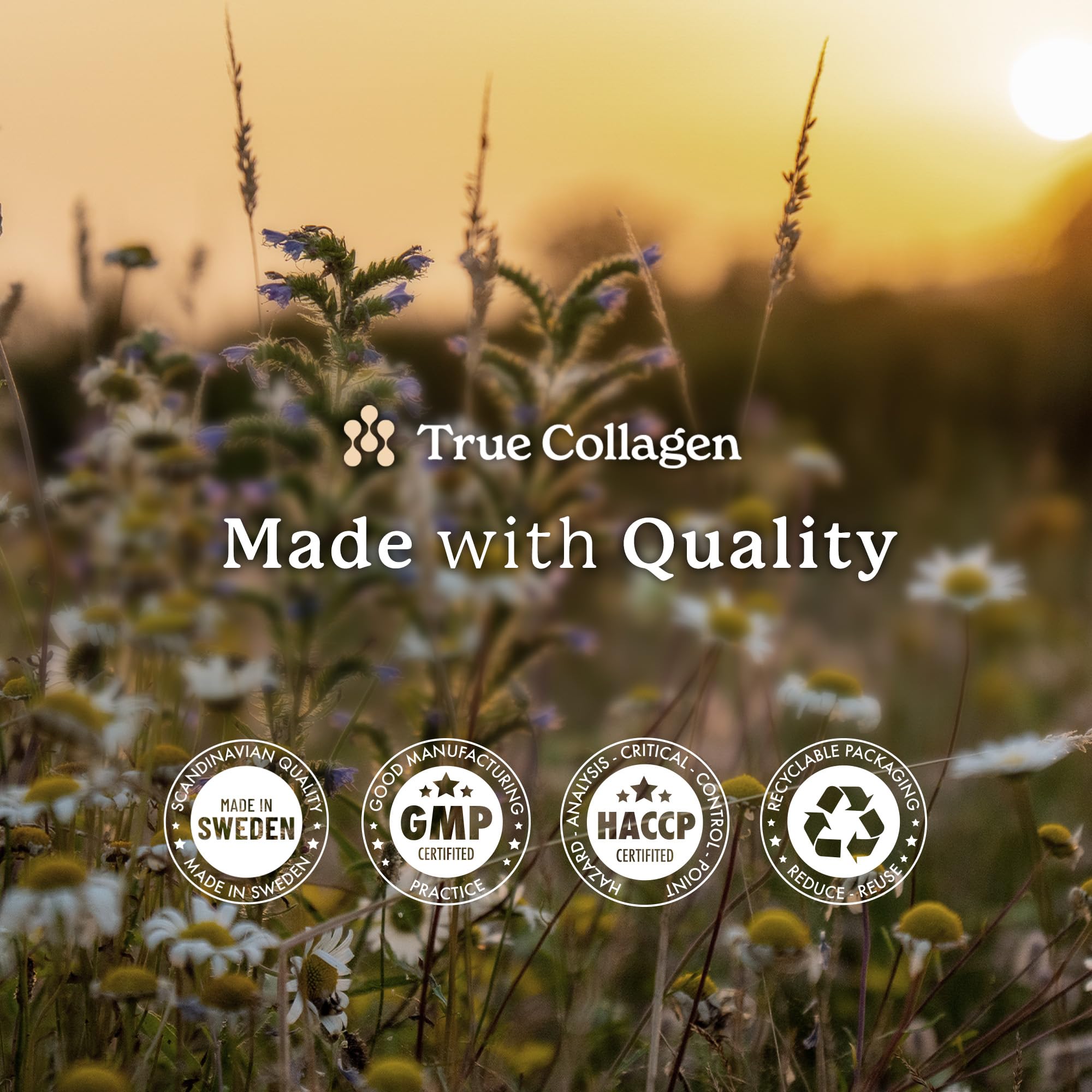 True Collagen Joints | 10,000 mg Hydrolyzed Collagen Liquid Supplement - 500 ml, 20 Day Supply | Glucosamine, MSM and Chondroitin for Healthy Joints | Fat-Free, Sugar-Free, 100% Natural Berry Flavor True Collagen uk supplements