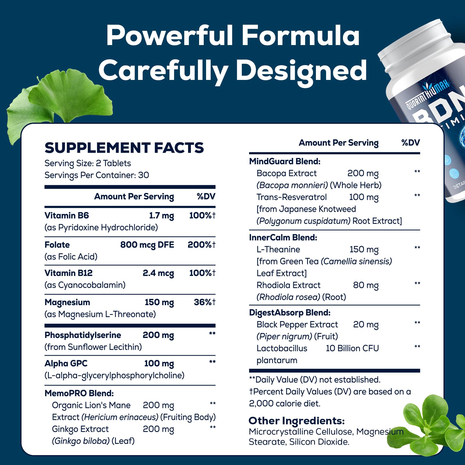 Nootropic Brain Supplement for Memory and Focus – BDNF Optimizer – Cognitive, Mental Clarity & Mood – High Absorption – Organic Lion's Mane, L-Theanine, Ginkgo Biloba & Alpha GPC – 60 Tablets Quorinthiumax uk supplements