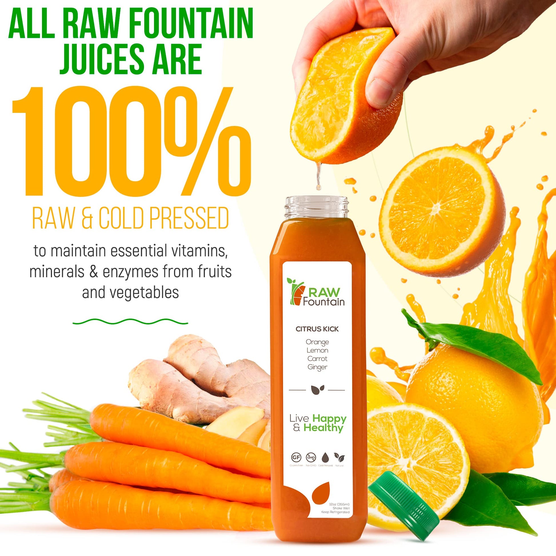 1 Day Green Juice Cleanse by Raw Fountain, All Natural Raw, Vegan Detox, Cold Pressed Raw Fountain uk supplements
