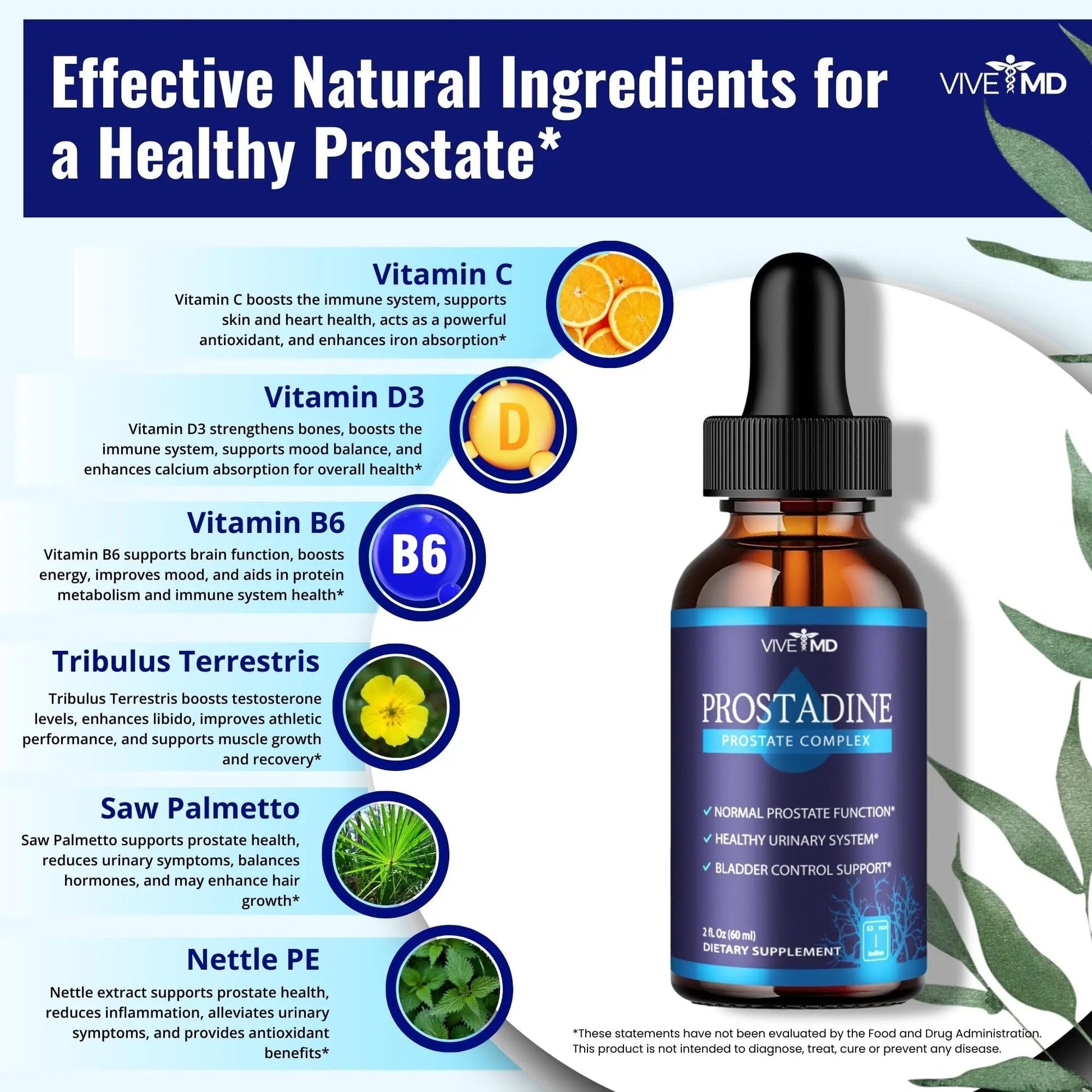 VIVE MD Prostadine Drops for Prostate Health, Bladder Urinating Issues - Prostadine Official Drop Formula - Extra Strength with Pomegranate, Prostadine Reviews (Package of 1) VIVE MD uk supplements