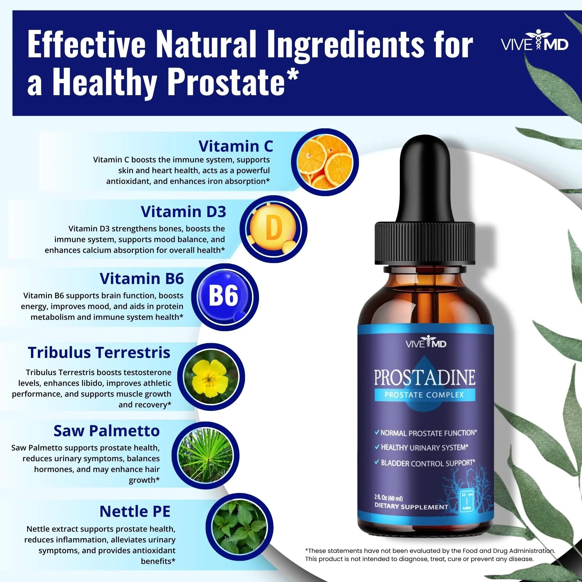 VIVE MD Prostadine Drops for Prostate Health, Bladder Urinating Issues - Prostadine Official Drop Formula - Extra Strength with Pomegranate, Prostadine Reviews (Package of 5) VIVE MD uk supplements