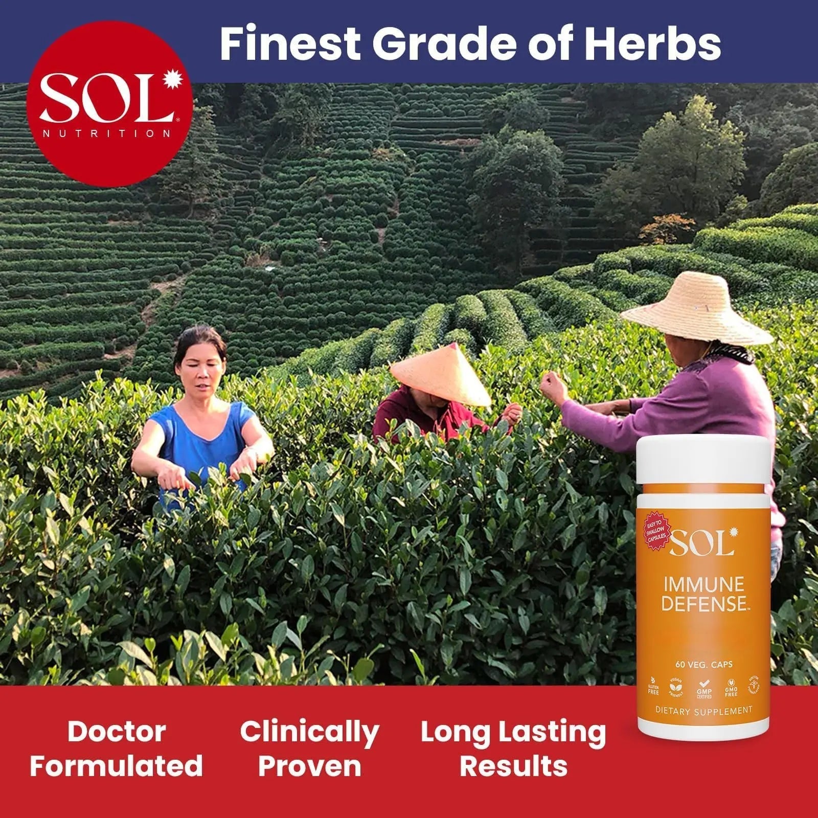 Immune Defense Supplement: Clears Allergens, Builds Strong Immune System, 15X More Powerful, Astragalus, Goto Kola, Andrographis Sol Nutrition uk supplements