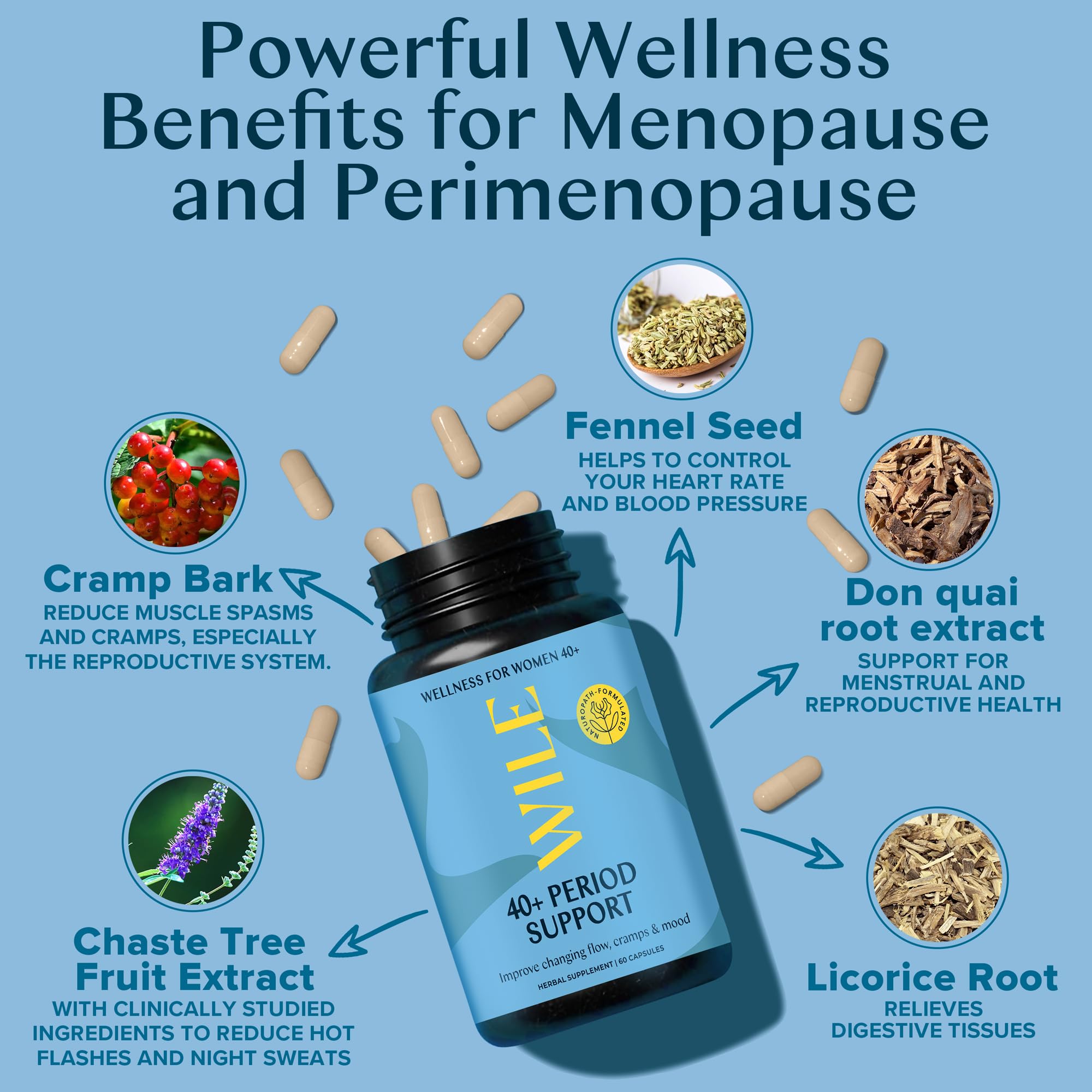 WILE Menopause and Perimenopause Supplements for Women - Menstrual Cramp, PMS and Heavy Period Relief with Dong Quai - Premenopausal Support for Hormone Balance & Improved Mood, Vegan, 30 Servings WILE uk supplements