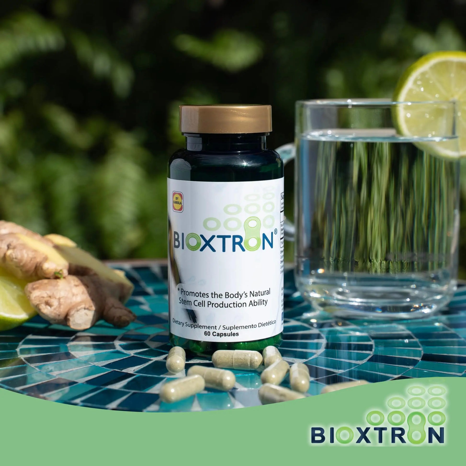 Bioxtron Natural AFA Stem Cell Supplement - Joint Support & Muscle Pain - Immune System Support - Support Energy Levels - Natural Blue Green Algae Spirulina - Pack of 2-120 Caps Bioxtron uk supplements