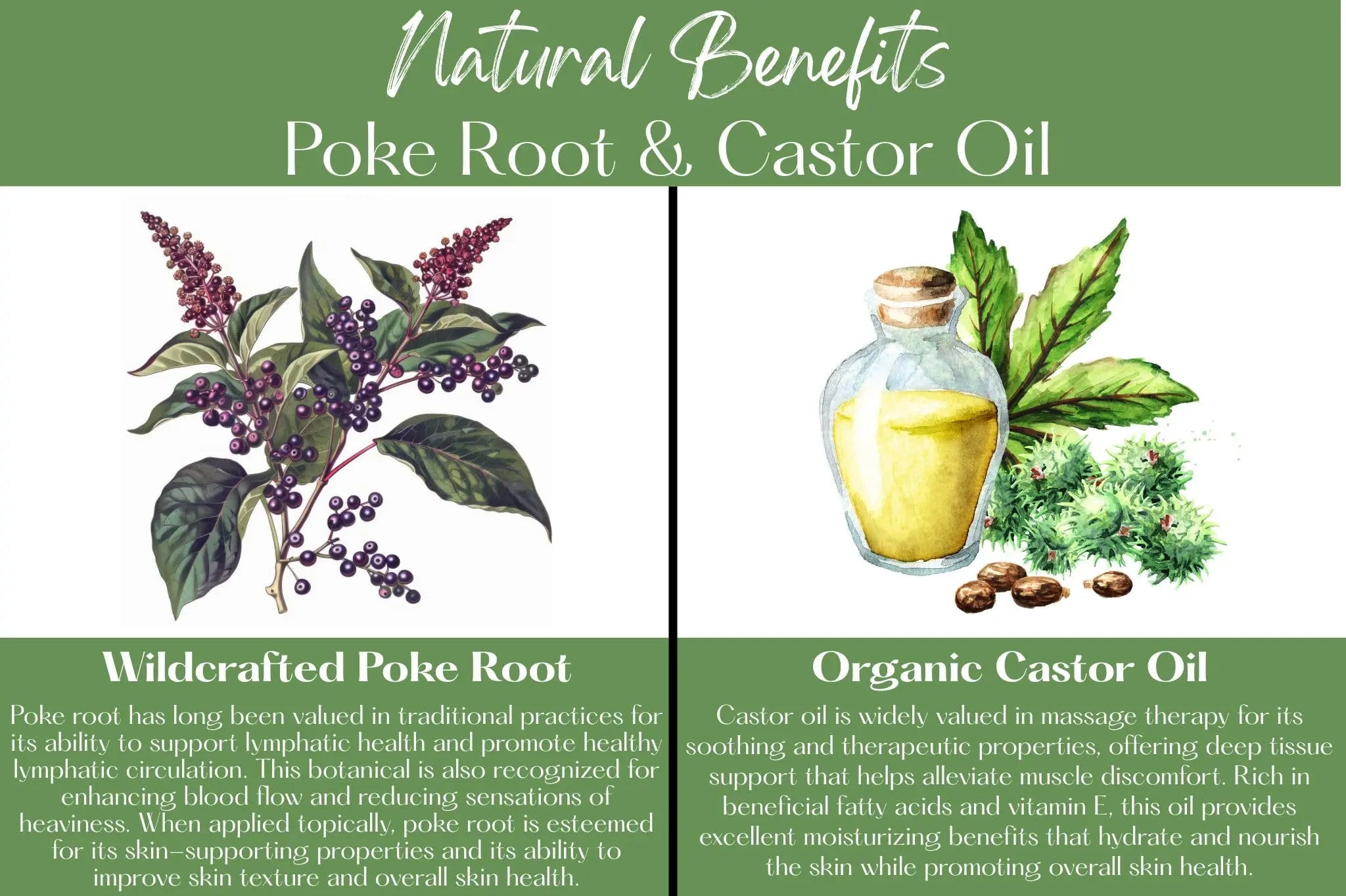 Organic Poke Root & Castor Oil Salve | Vegan Lymphatic Support | Enriched with Essential Oils | Cysts, Boils, Fibroids, Swollen Lymph Nodes, Breast & Joint (1oz, Frankincense) Living Farms uk supplements