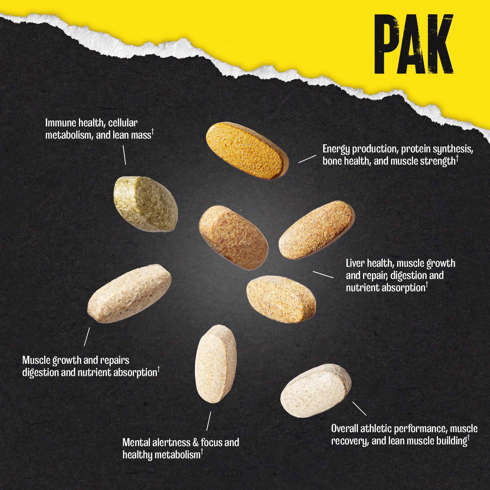 Animal Pak - Convenient Multivitamin for Men & Women Daily All-in-One Vitamin & Supplement Pack - Zinc, Vitamins C, B, D, Amino Acids, and Immune Support - Sports Nutrition Performance - 44 Count Animal uk supplements