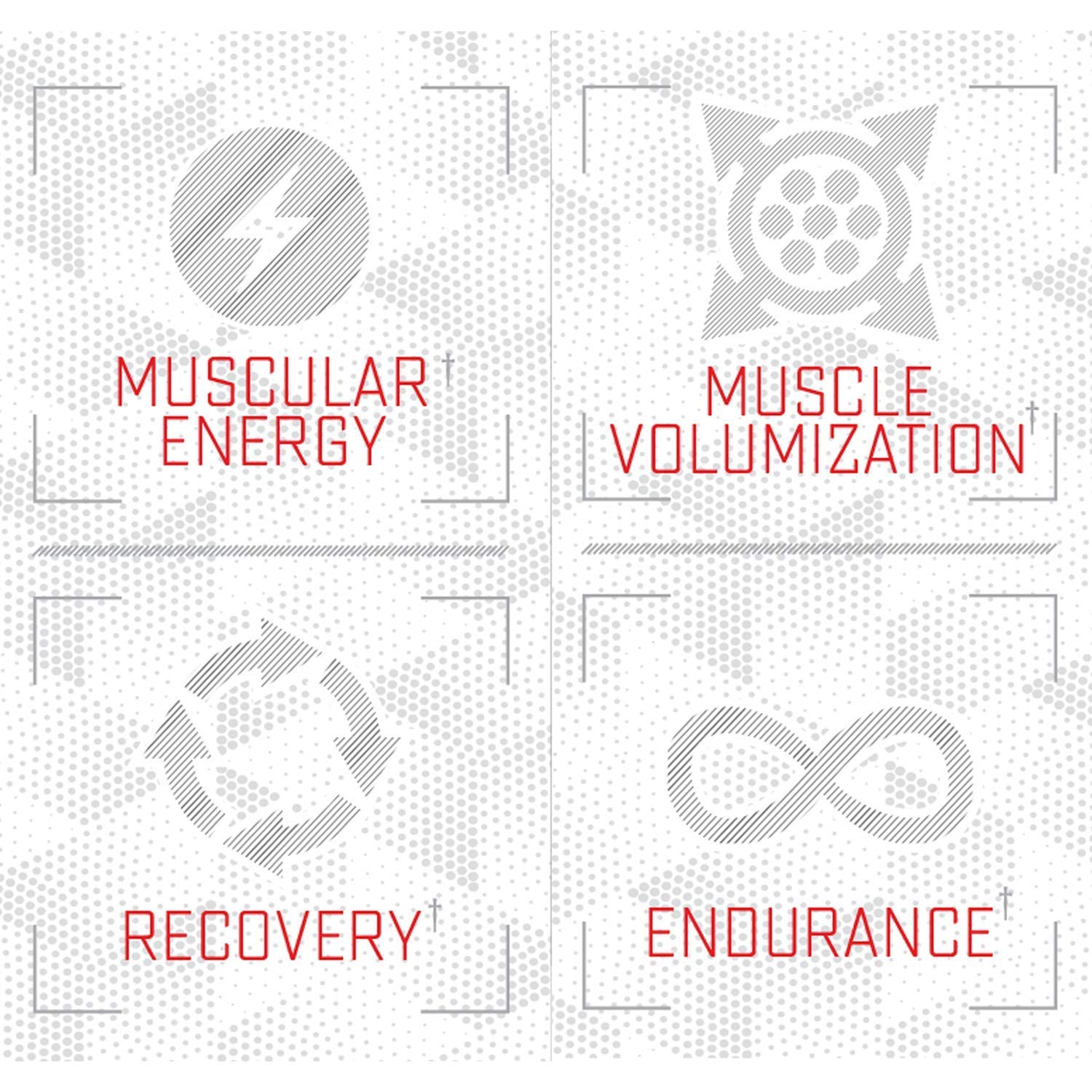 Purus Labs Foundation Series Citrulline Malate Powder | Active Amino Acid L-Citrulline Purus Labs uk supplements
