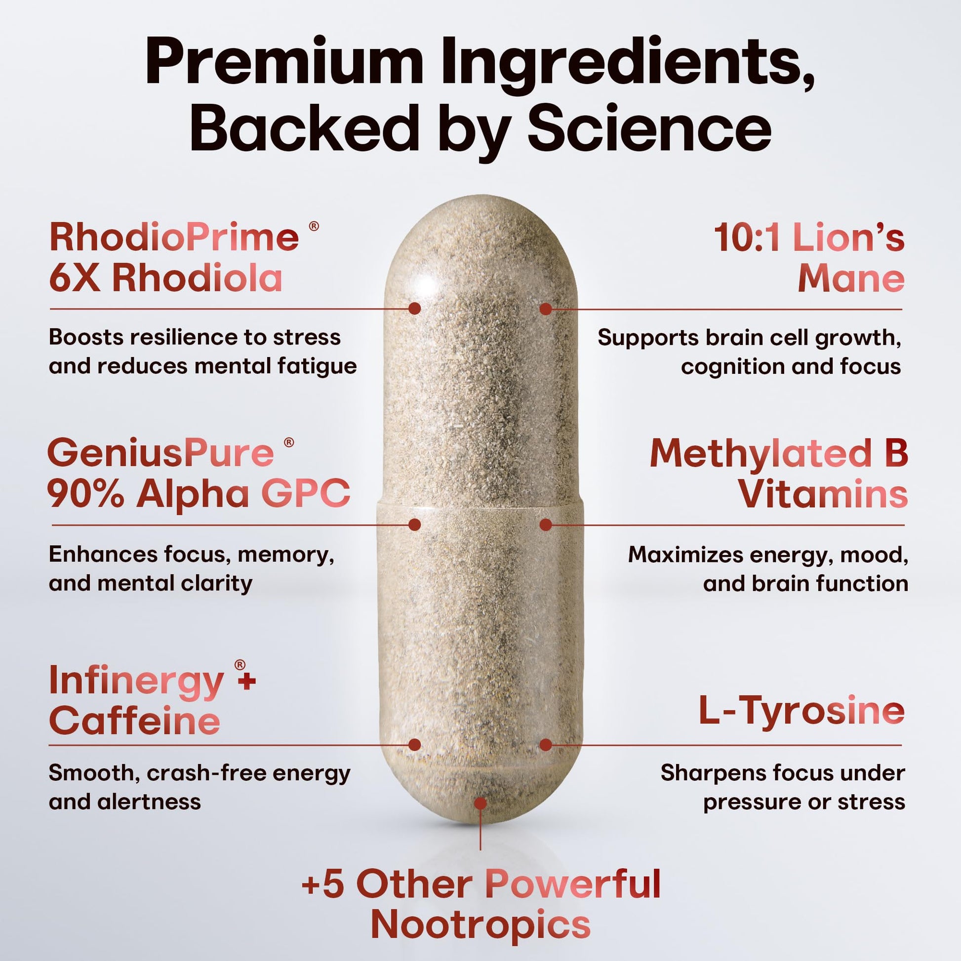 Nootropic Strongest Focus Supplement - Clinically Backed Ingredients Made in USA - Scientifically Backed Doses - Supplement for Brain Fog - AlphaGPC, Lions Mane, Rhodiola and More 10:1 90 Capsules CRTX Nutrition uk supplements