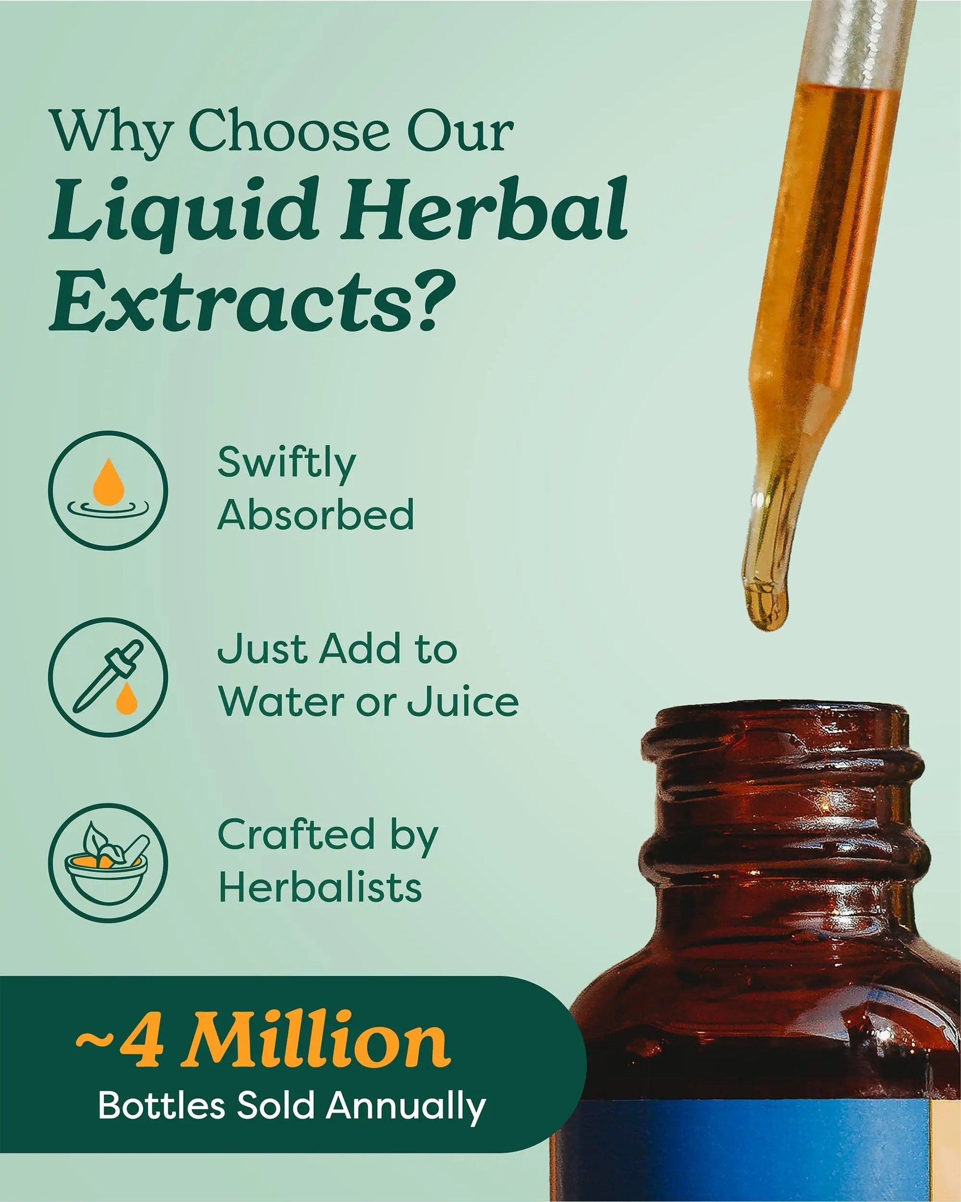Herb Pharm Chanca Piedra Liquid Extract for Urinary System Support, 1 Fl Oz Herb Pharm uk supplements