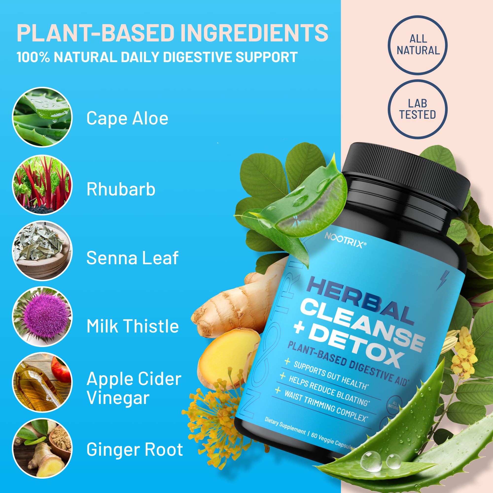 Nootrix Herbal Cleanse + Detox Cleanse for Weight Loss Products | 15 Day Gut Cleanse Nootrix uk supplements
