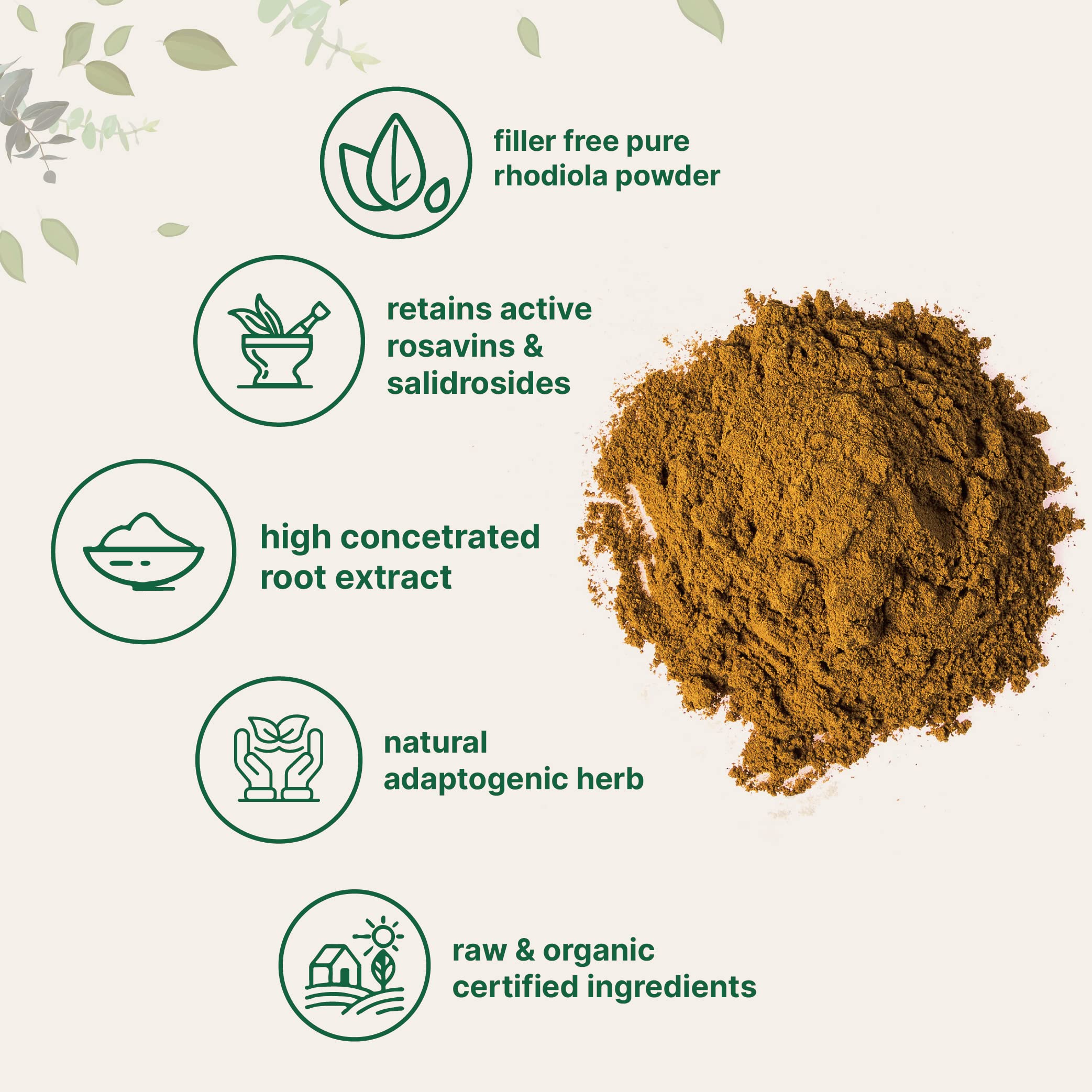Micro Ingredients Organic Rhodiola Rosea Root Extract, 50g Powder | Adaptogenic Herb Micro Ingredients uk supplements
