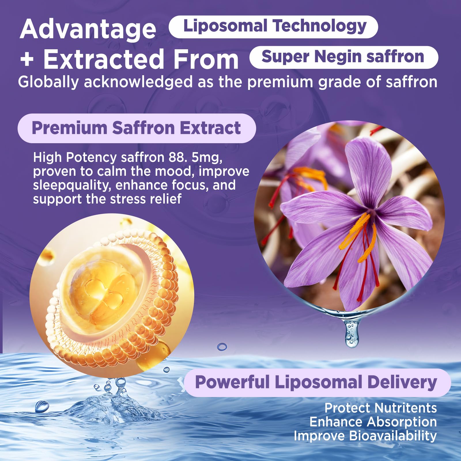 HOLLEGEND Liposomal Saffron Drops for Kids & Adults, Organic Saffron Supplement w/Magnesium, L-Theanine and Vitamins for Stress, Focus, Vision and Energy Support, Vegan, Natural Lemon Flavor, 2 FL OZ HOLLEGEND uk supplements
