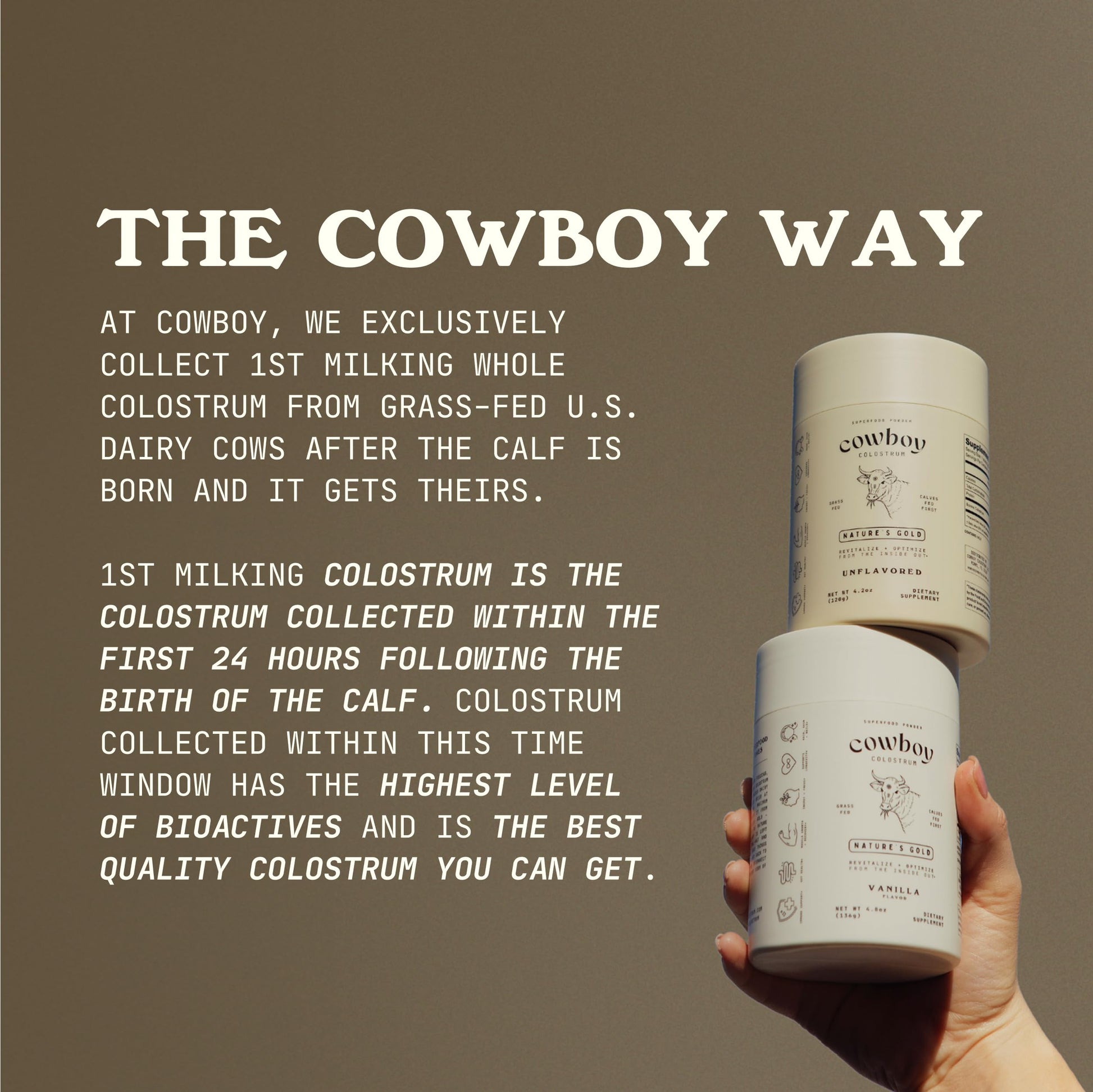 COWBOY COLOSTRUM Powder Travel Packs - Bovine Colostrum Powder - First Day Milking Whole Colostrum - Grass Fed Colostrum Supplement for Gut Health, Immunity, Skin & Hair (Unflavored, 30 Servings) COWBOY COLOSTRUM uk supplements