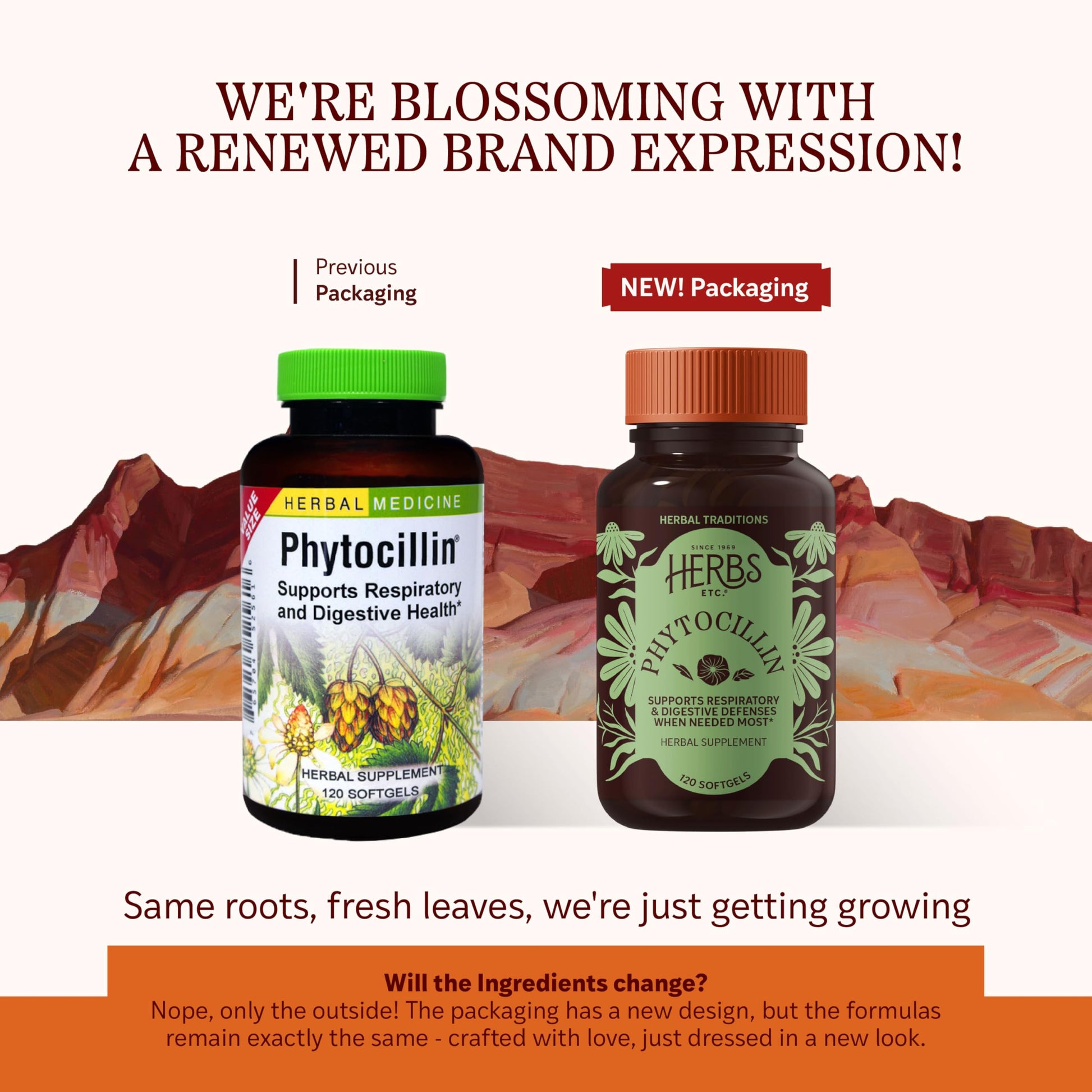 Herbs Etc. Phytocillin - Respiratory & Digestive Health Support Supplement - Herbal Formula to Support Digestion - Support Healthy Breathing - 120 Softgels (120 Servings) Herbs Etc. uk supplements