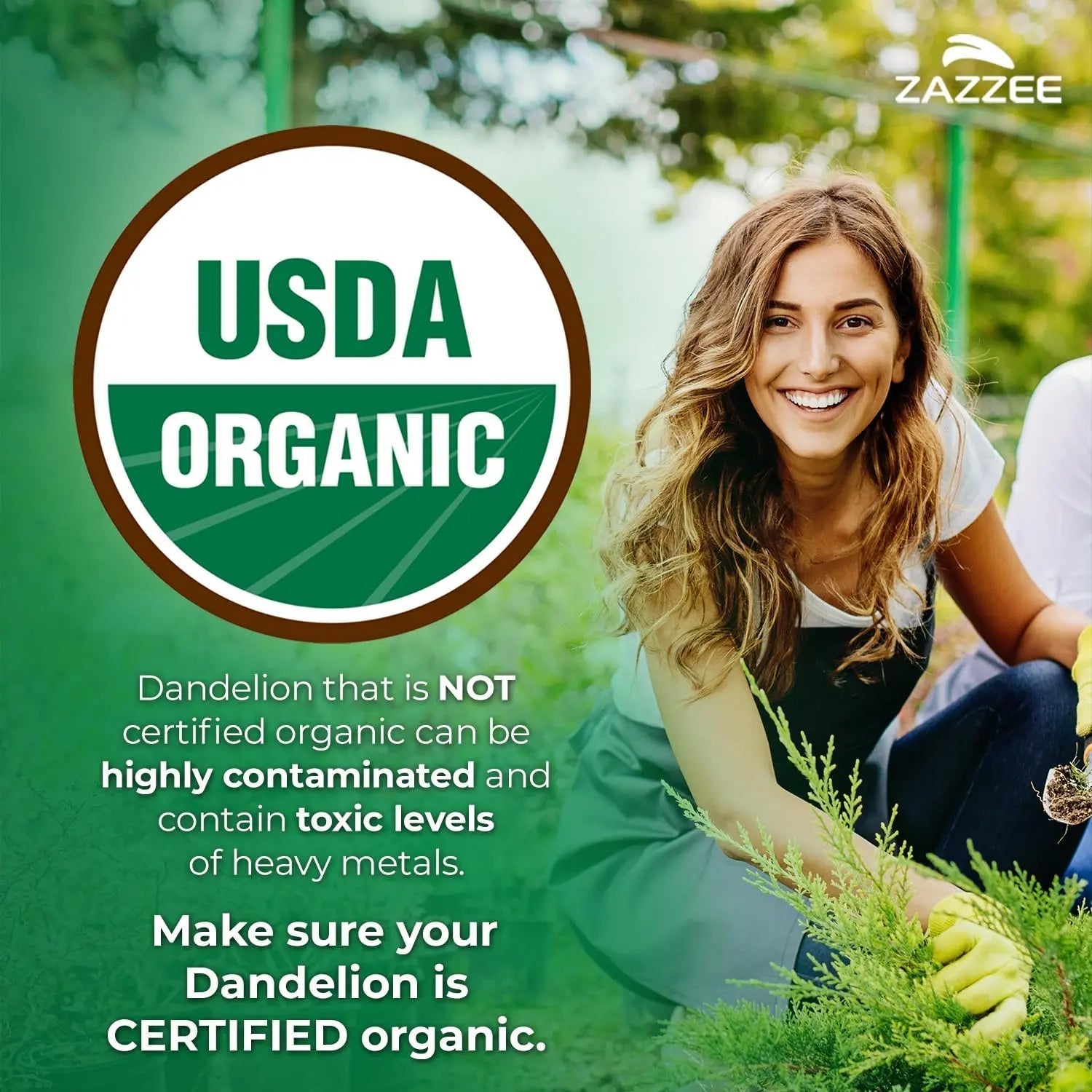 Zazzee Urinary Tract Cleanse & Detox Bundle | USDA Organic Dandelion Root Extract Capsules Plus D-Mannose 1000mg Capsules for UT & Bladder Cleansing Zazzee uk supplements