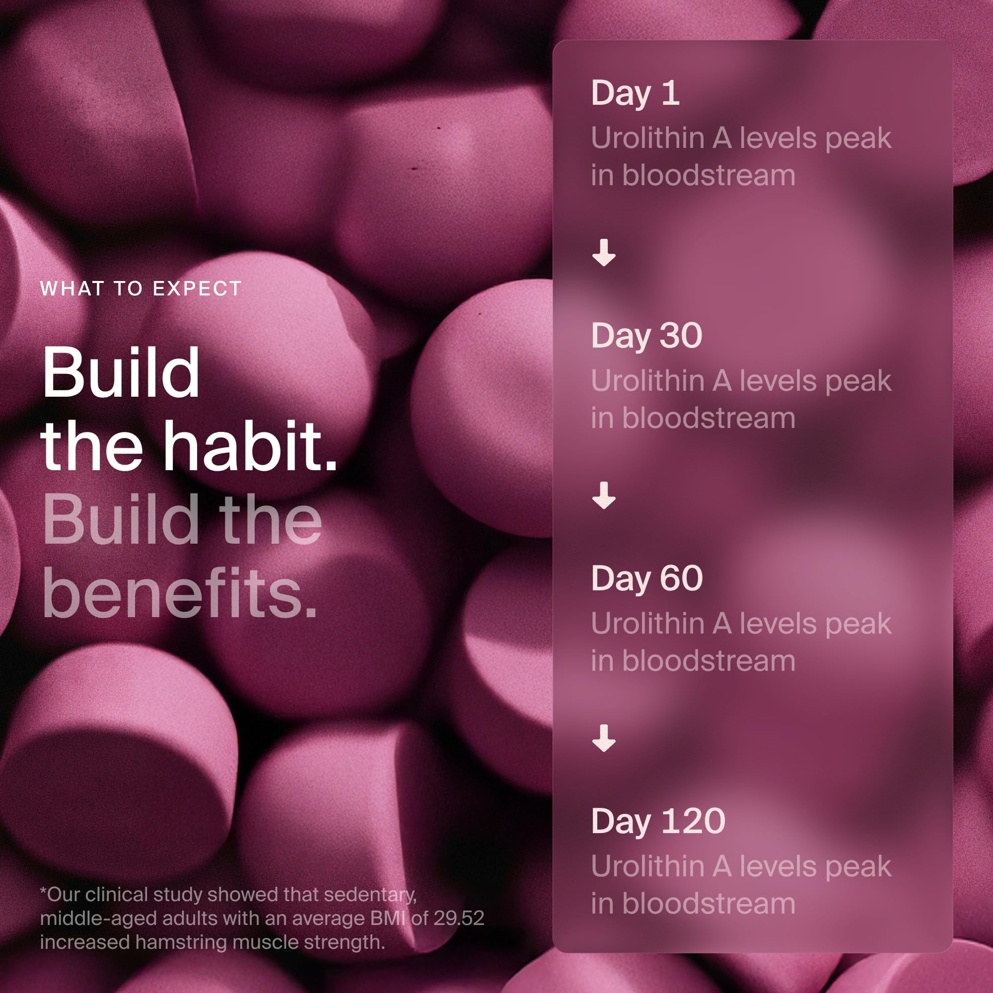 Timeline Mitopure Urolithin A Supplement Gummies - Clinically Proven Support for Healthy Aging Cellular Energy Muscle Strength and Longevity Timeline uk supplements