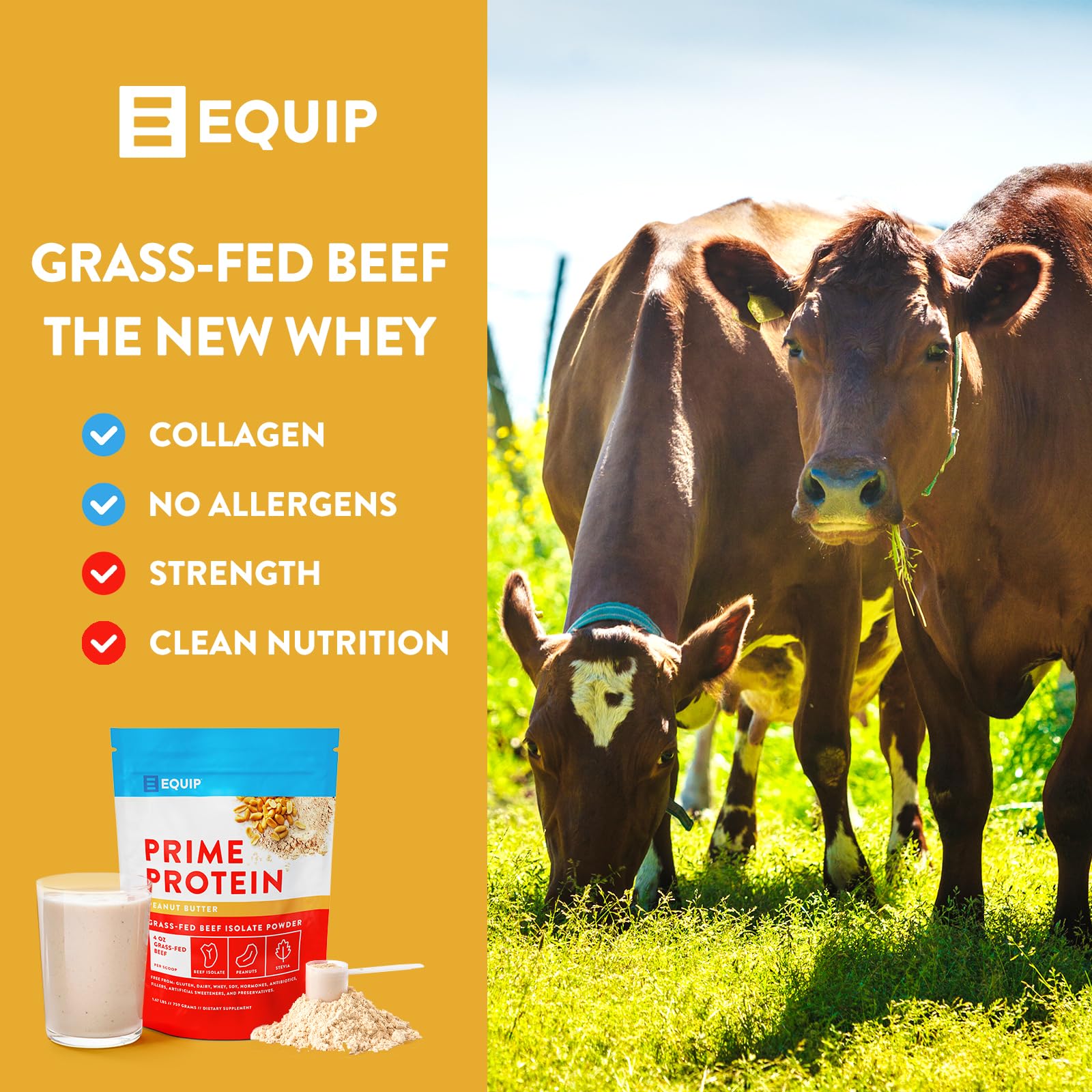 Equip Foods Prime Protein - Grass Fed Beef Protein Powder Isolate - Paleo and Keto Friendly Equip uk supplements