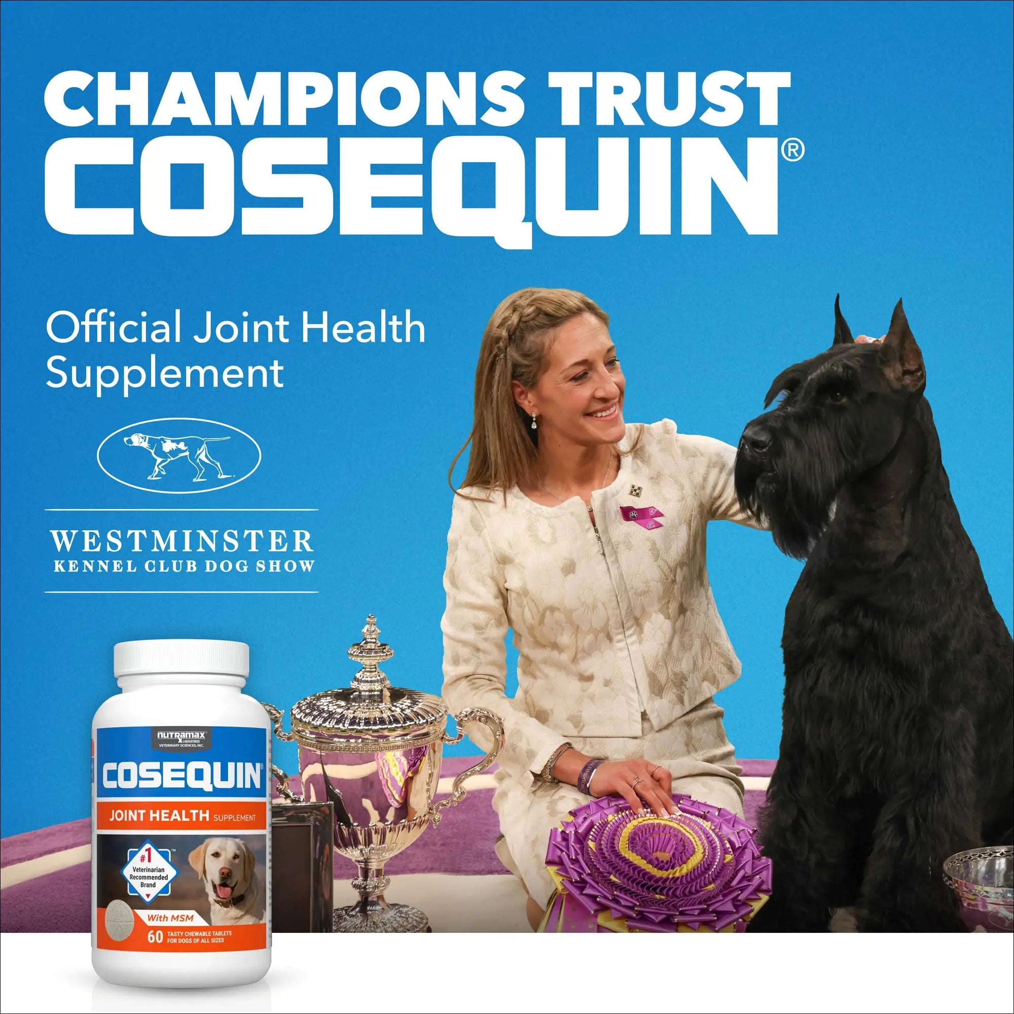 Nutramax Laboratories Cosequin Maximum Strength Joint Health Supplement for Dogs - With Glucosamine, Chondroitin, and MSM, 2 Pack, 264 Total Chewable Tablets Nutramax Laboratories uk supplements
