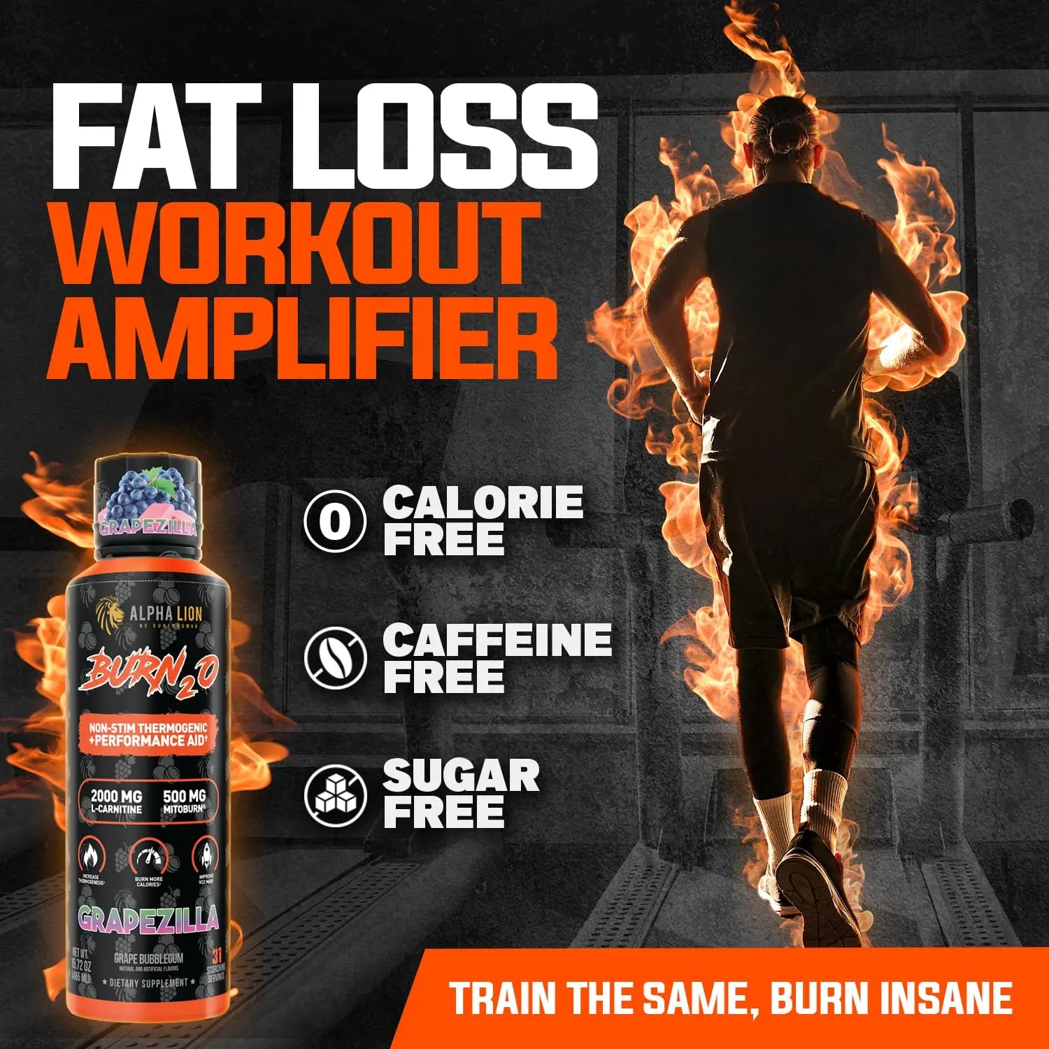 ALPHA LION Burn2O L-Carnitine Liquid 2000mg – Stim Free Super Thermogenic Fat Burner with MitoBurn® & CaloriBurn GP®, Metabolism Booster, Zero Calorie ALPHA LION uk supplements