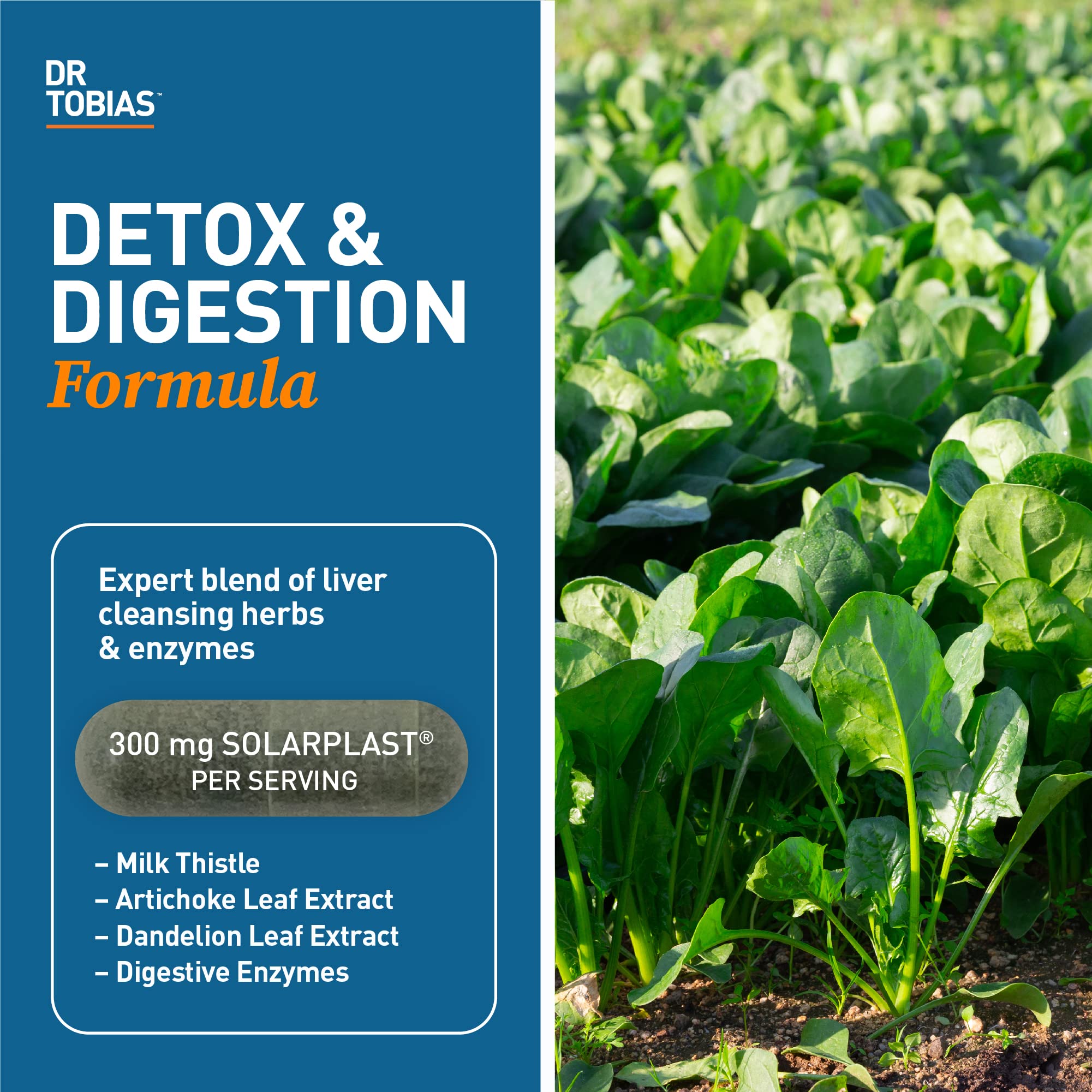 Dr. Tobias Liver 21 Day Cleanse, Herbal Liver Detox Cleanse with Solarplast, Artichoke Dr. Tobias uk supplements