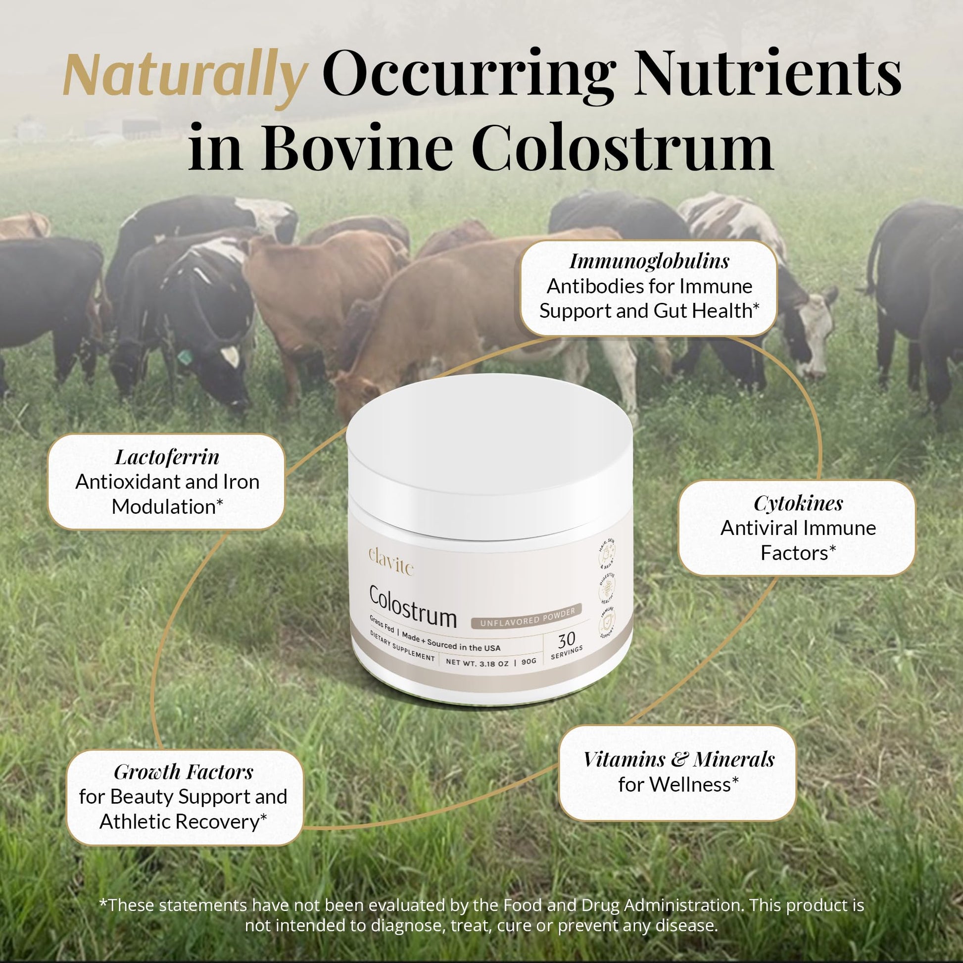 Elavite Bovine Colostrum Powder (Unflavored) Grass Fed Colostrum Supplement for Gut Health, Immune Support Healthy Hair, Skin & Nails - 30 Servings Elavite uk supplements
