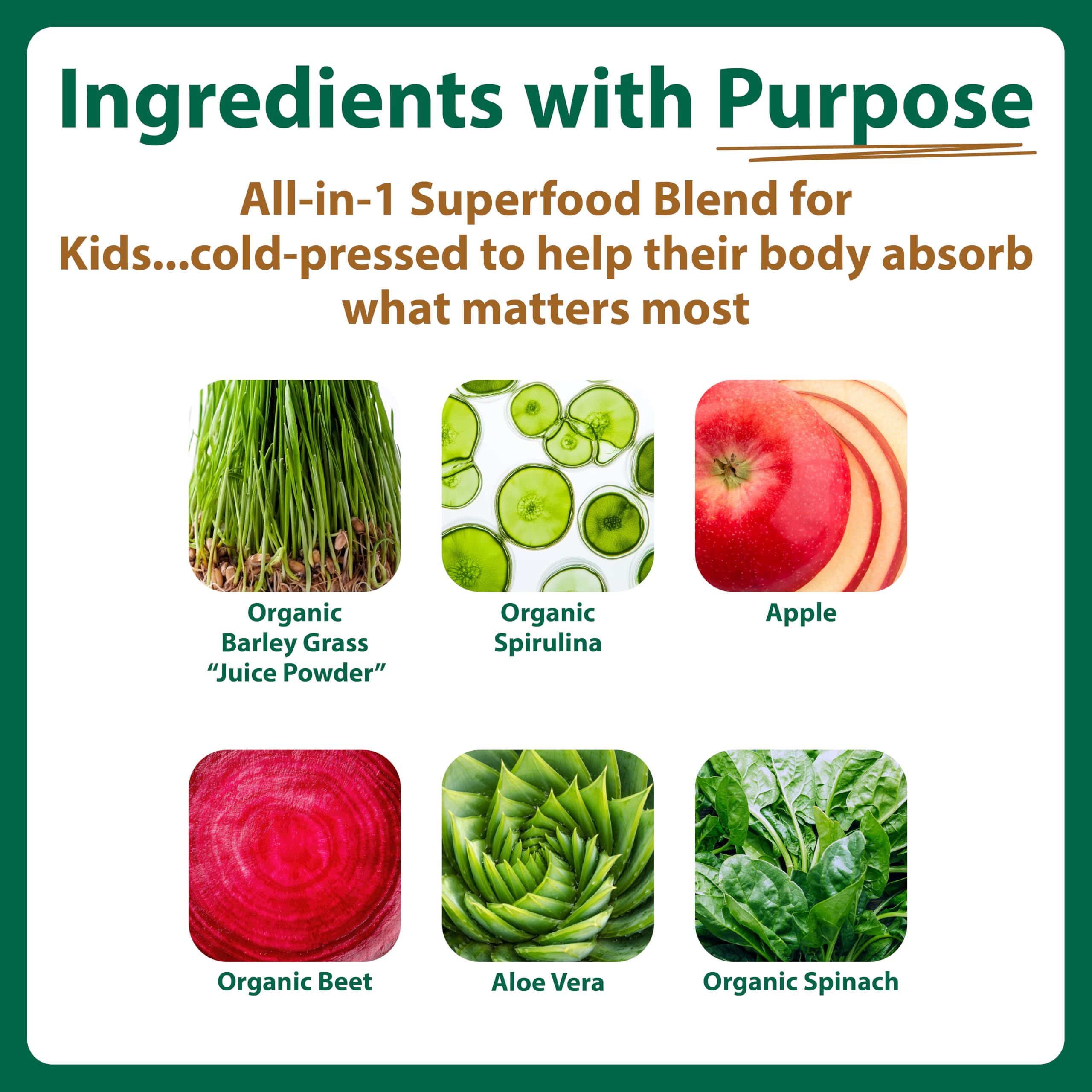 MacroLife Naturals MacroCoco Super Greens Drink, Chocolate Powder Superfood for Kids & Teens - Whole Food Fruit & Vegetable Multi-Vitamins Probiotics Digestive Enzymes & Fiber Supplement - 32 Servings MacroLife Naturals uk supplements