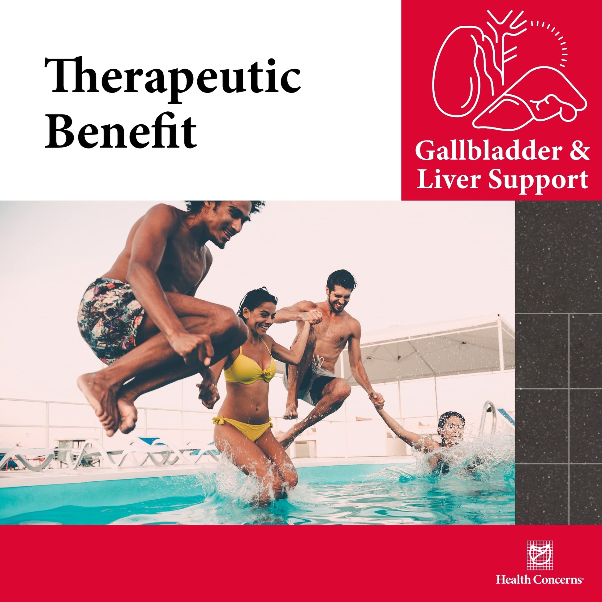 Health Concerns GB-6 – Gallbladder Support Supplement – Chuan Lian Zi Herbal Formula – Natural Gallstone Support – Bupleurum, Turmeric, Dandelion Root Extracts– Chinese Herbal Capsules – 90 Capsules Health Concerns uk supplements