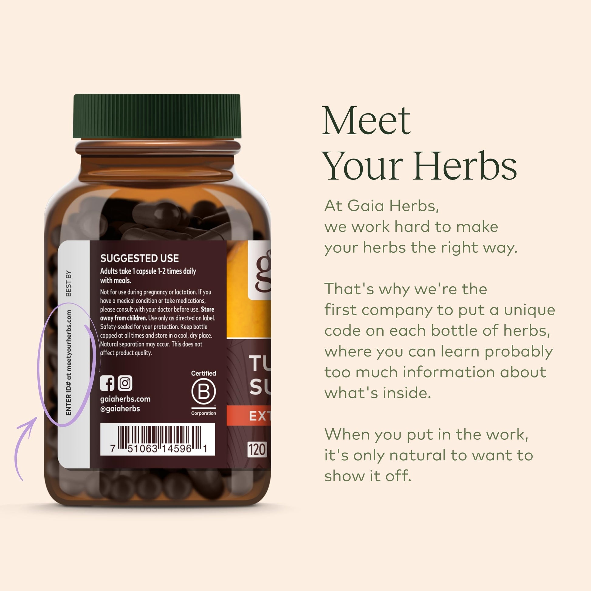 Gaia Herbs Organic Lion’s Mane Mushroom - Brain and Nerve Support Supplement Gaia Herbs uk supplements