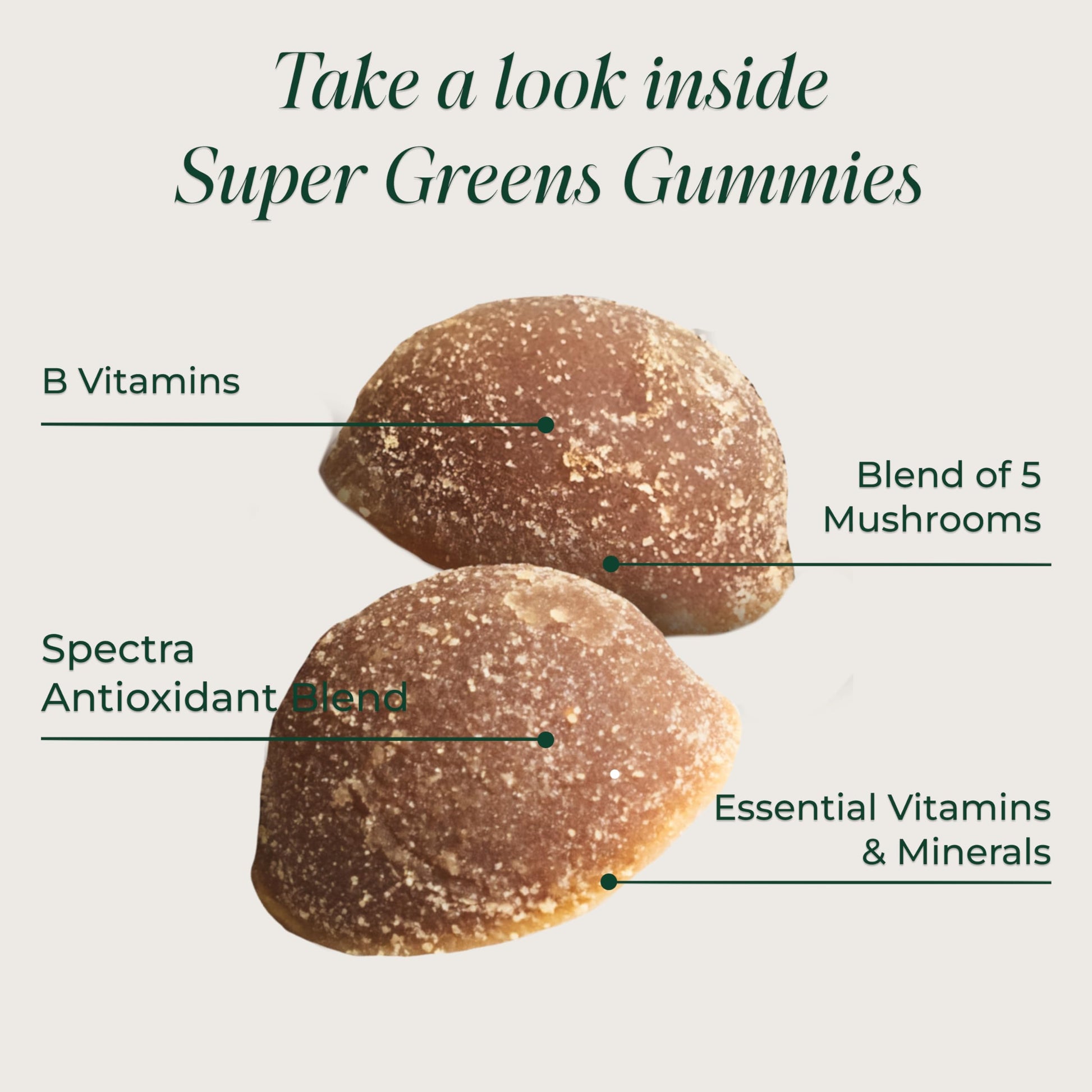 Primal Harvest Super Greens Gummies, Superfood Blend with Adaptogenic Mushrooms Vitamins & Nutrient-Rich Minerals & Antioxidants for Energy & Immune Support 1 Pack 60 Count, Primal Harvest uk supplements