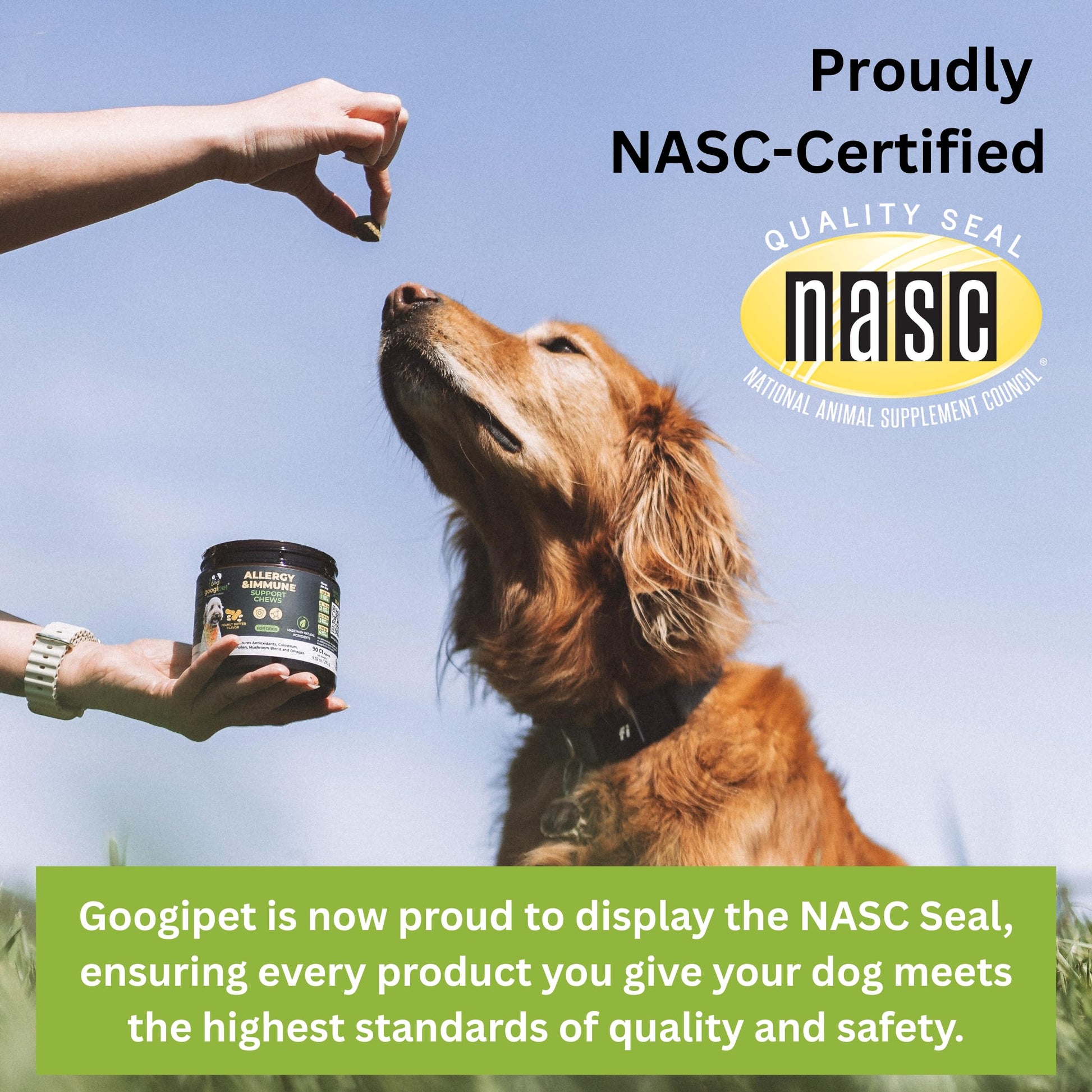 Googipet Probiotics for Dogs Digestive Health - Prebiotics and Probiotics Chews for Dog Yeast Infection Treatment + Digestive Enzymes - Dog Probiotics for Itchy Skin & Ears w/Papaya, Pumpkin, & Fiber GOOGIPET NATURAL PET PRODUCTS uk supplements