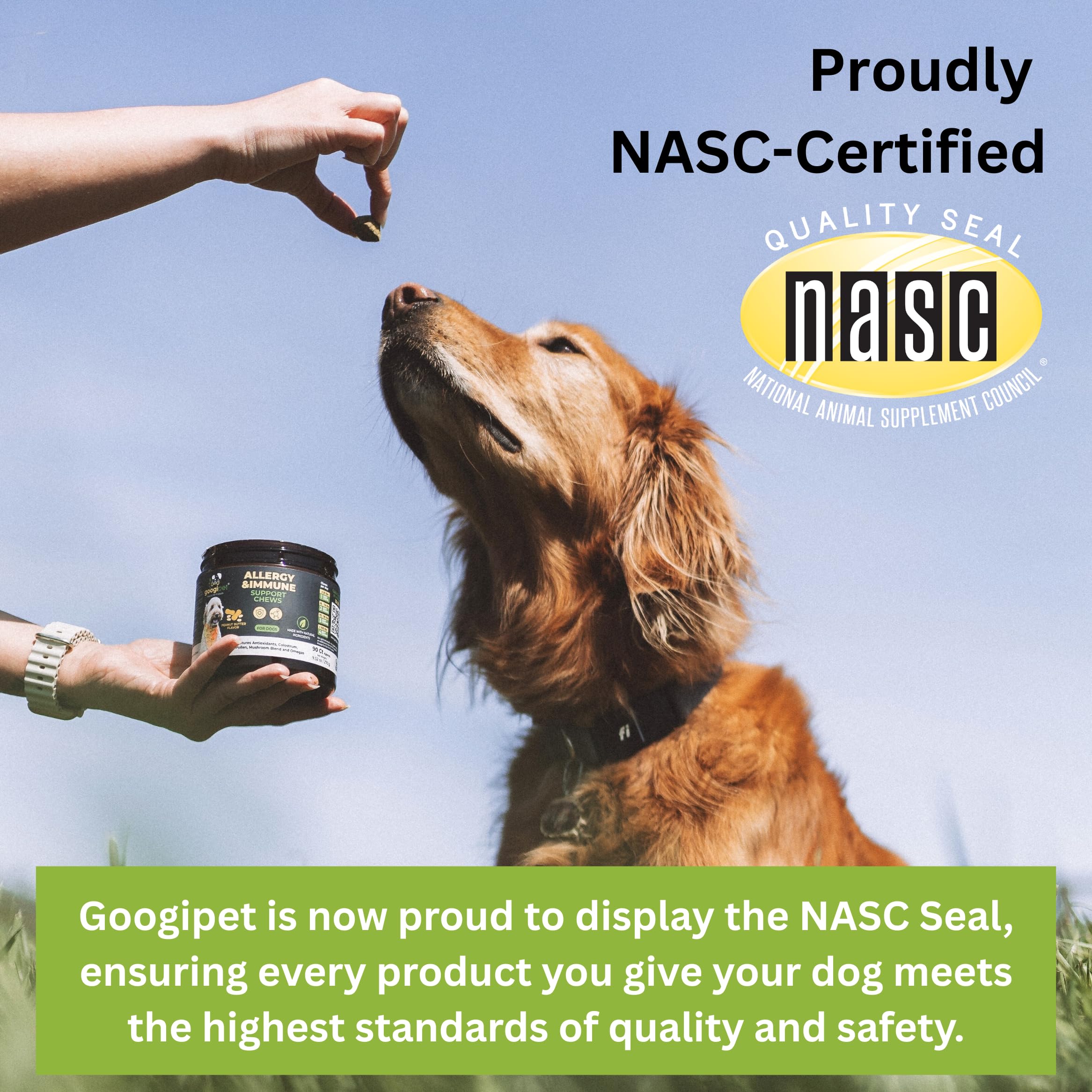 Googipet Probiotics for Dogs Digestive Health - Prebiotics and Probiotics Chews for Dog Yeast Infection Treatment + Digestive Enzymes - Dog Probiotics for Itchy Skin & Ears w/Papaya, Pumpkin, & Fiber GOOGIPET NATURAL PET PRODUCTS uk supplements
