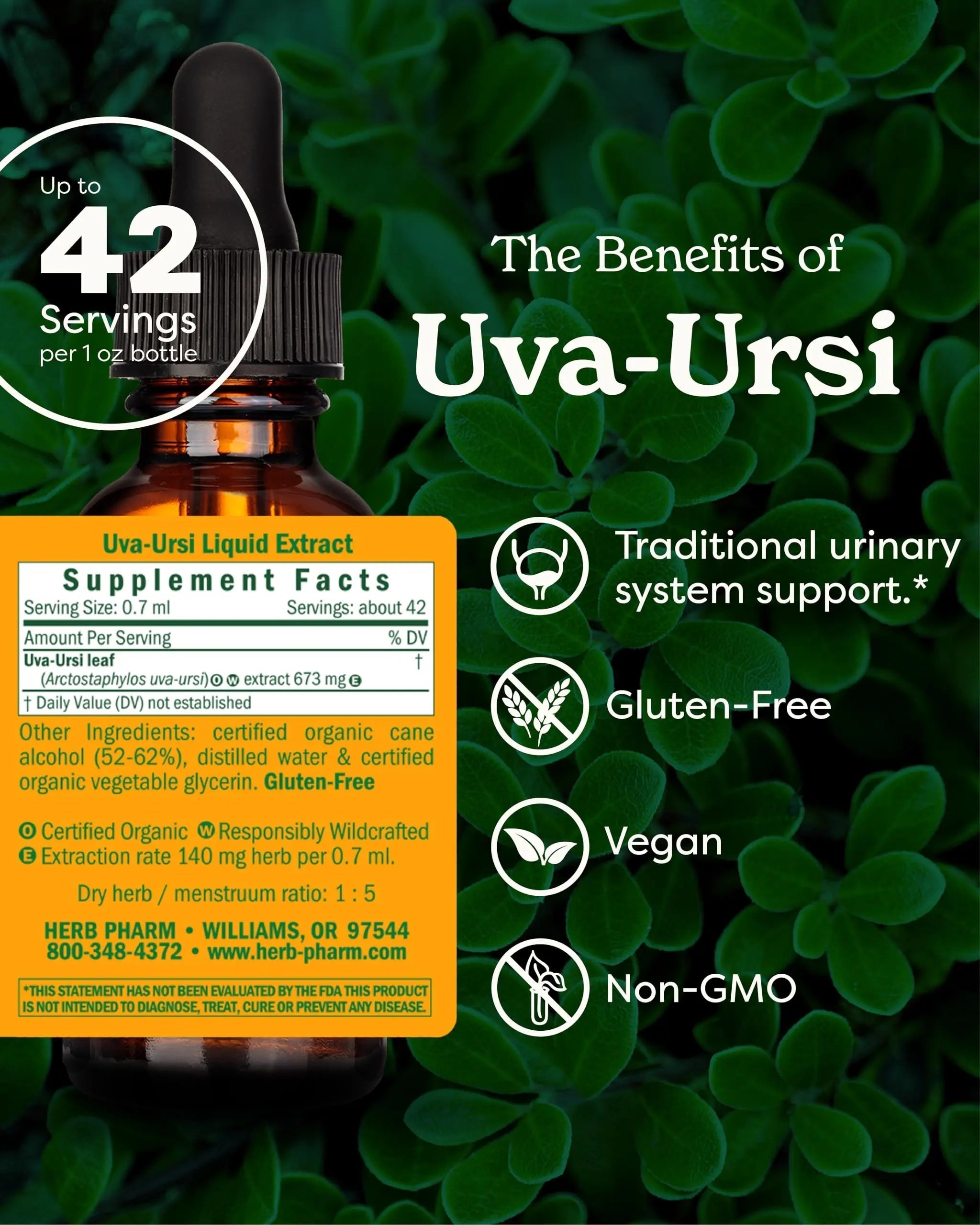 Herb Pharm Uva Ursi Liquid ExtraCount for Urinary System Support, 1 Fl Oz Herb Pharm uk supplements