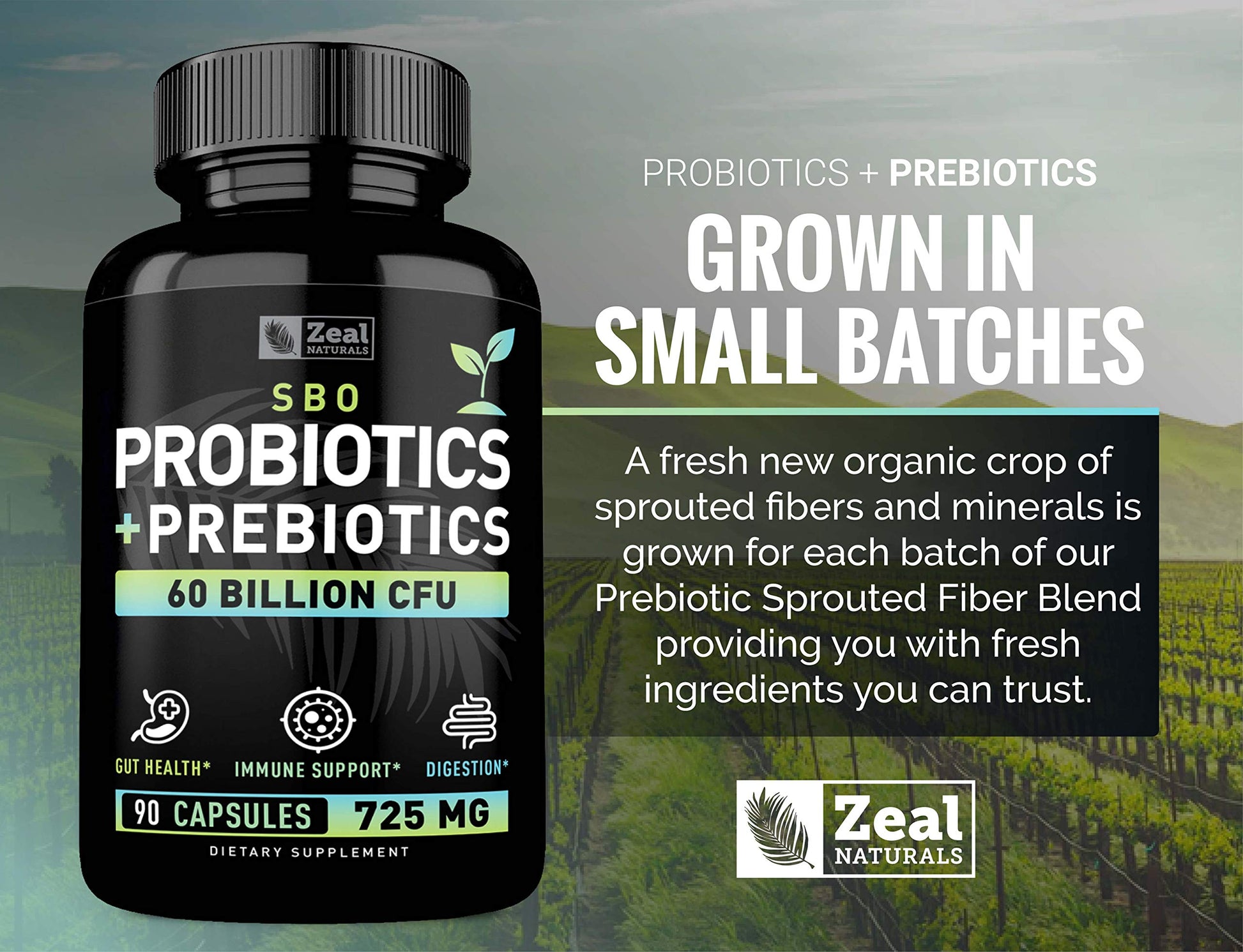 Probiotics and Prebiotics + SBO Probiotics (60 Billion CFU | 90 Capsules) Acidophilus Probiotic w. Saccharomyces Boulardii, Bifidobacterium + Spore Probiotic & Organic Sprouted Prebiotic Fiber Blend Zeal Naturals uk supplements