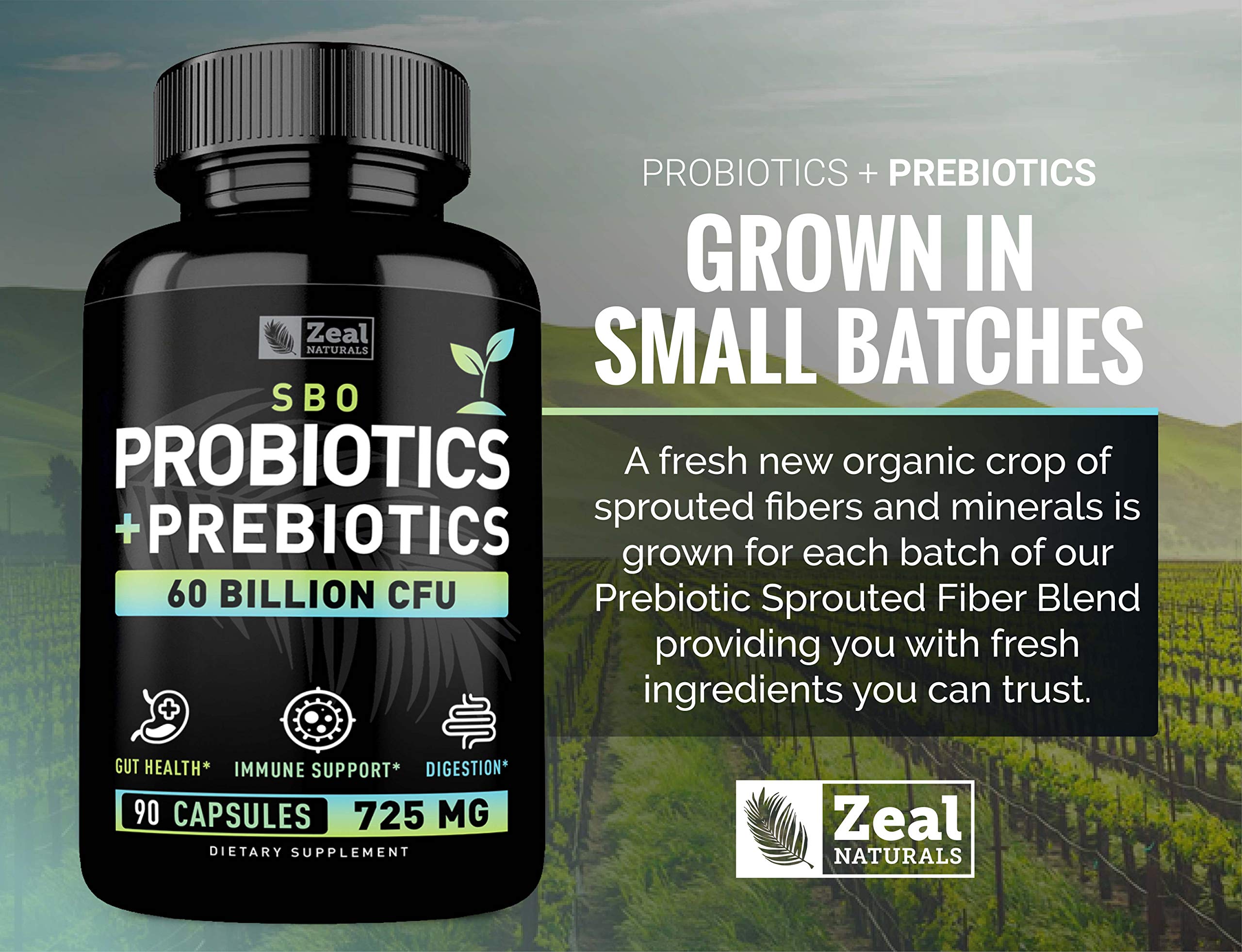 Probiotics and Prebiotics + SBO Probiotics (60 Billion CFU | 90 Capsules) Acidophilus Probiotic w. Saccharomyces Boulardii, Bifidobacterium + Spore Probiotic & Organic Sprouted Prebiotic Fiber Blend Zeal Naturals uk supplements