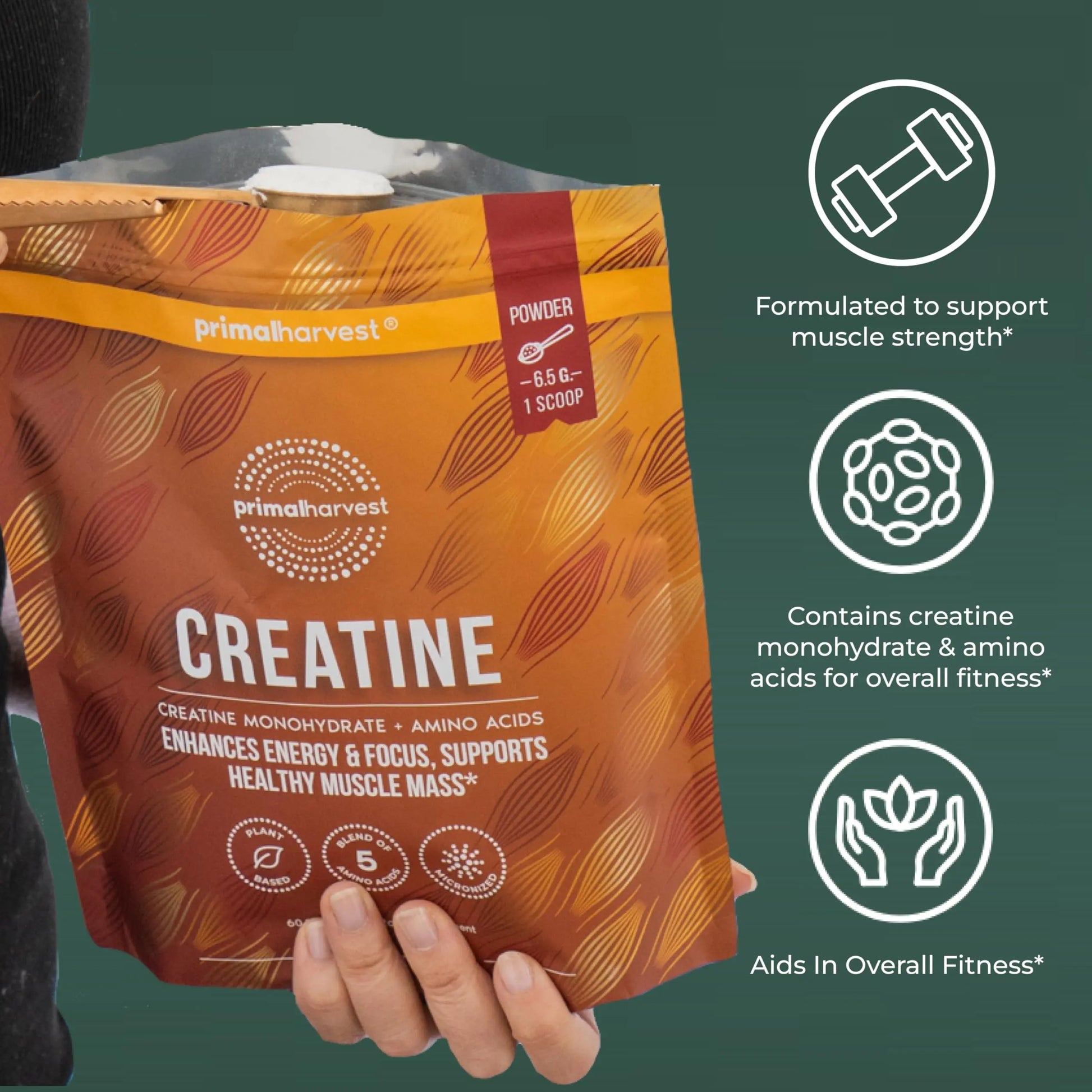 Primal Harvest Creatine Powder Supplement for Men and Women's Fitness, Workouts, and Muscle Growth, to Help Promote Recovery, Strength, Energy, and Endurance (1) Primal Harvest uk supplements