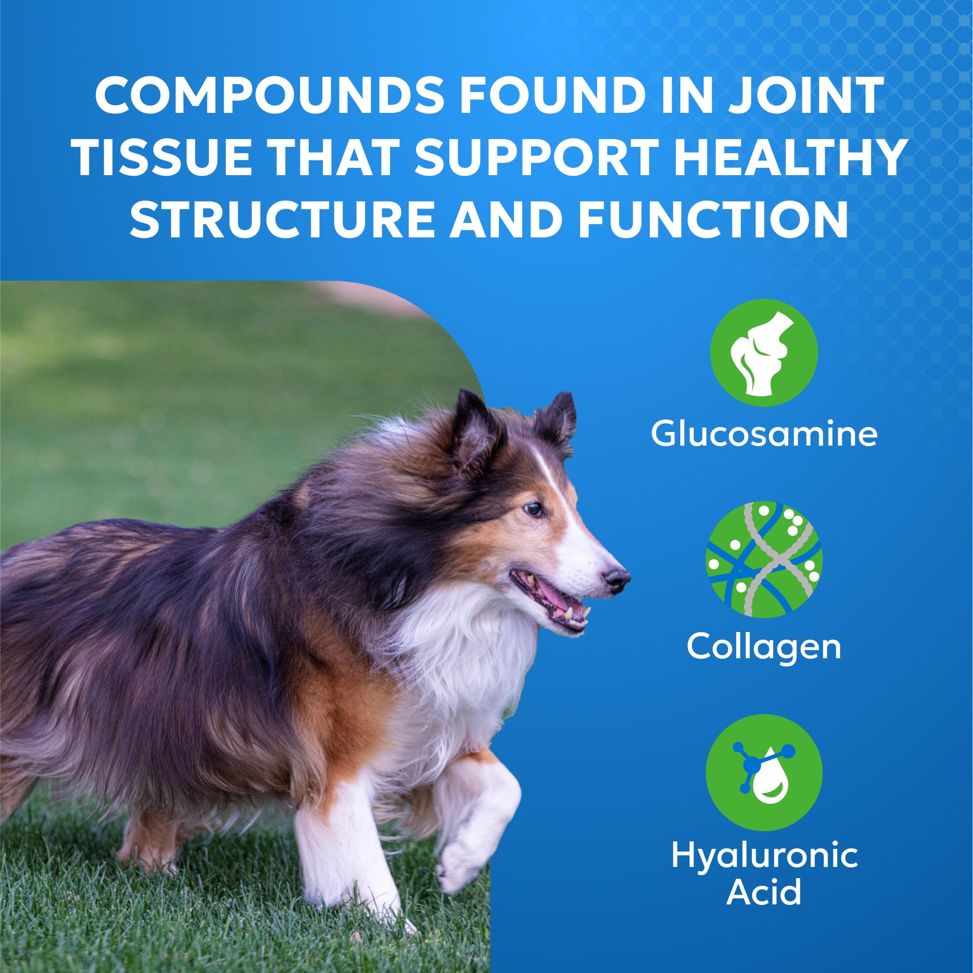 Nutramax Cosequin Elements Dog Joint Health Supplement with Glucosamine, Green Lipped Mussel, Omega-3s, Eggshell Membrane, Hyaluronic Acid, & Postbiotics, 75 Tasty Chewable Tablets for Dogs Nutramax Laboratories uk supplements