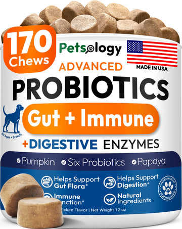 Probiotics for Dogs - 170 Dog Probiotics Chews - Digestive Enzymes & Prebiotics - Support Gut Health, Diarrhea, Gas & Constipation Relief - Itchy Skin, Allergies, Yeast Balance - Advanced Supplement Petsology uk supplements