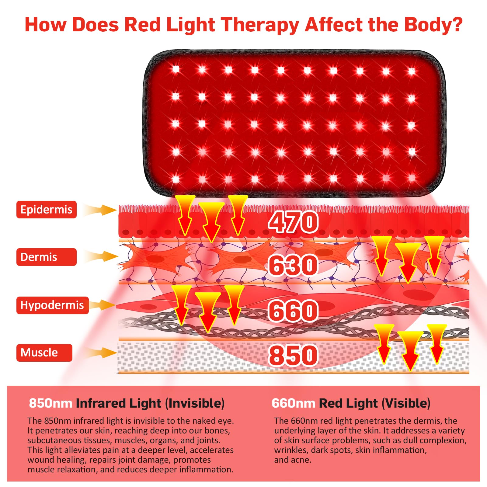 Red Light Therapy Belt, Infrared Light Therapy for Body, Wearable Wrap with Timer GMOWNW uk supplements